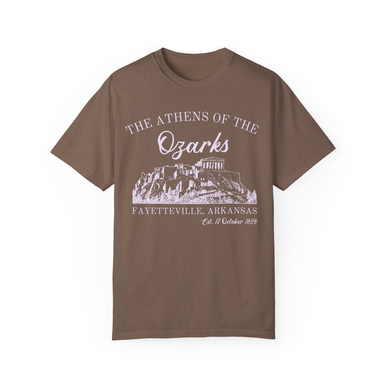 Fayetteville Arkansas Tee Shirt for Friend Living in Northwest Arkansas: The Athens of the Ozark, Cute 90s Style Fayetteville AR Tee Shirt - Opal and June