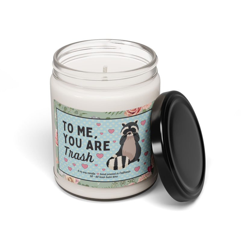 Funny Cottagecore Candle for Partner Who Loves Raccoons: To Me You Are Trash | Silly and Charmingly Chaotic 9 Oz Soy Candle for Girlfriend - Opal and June