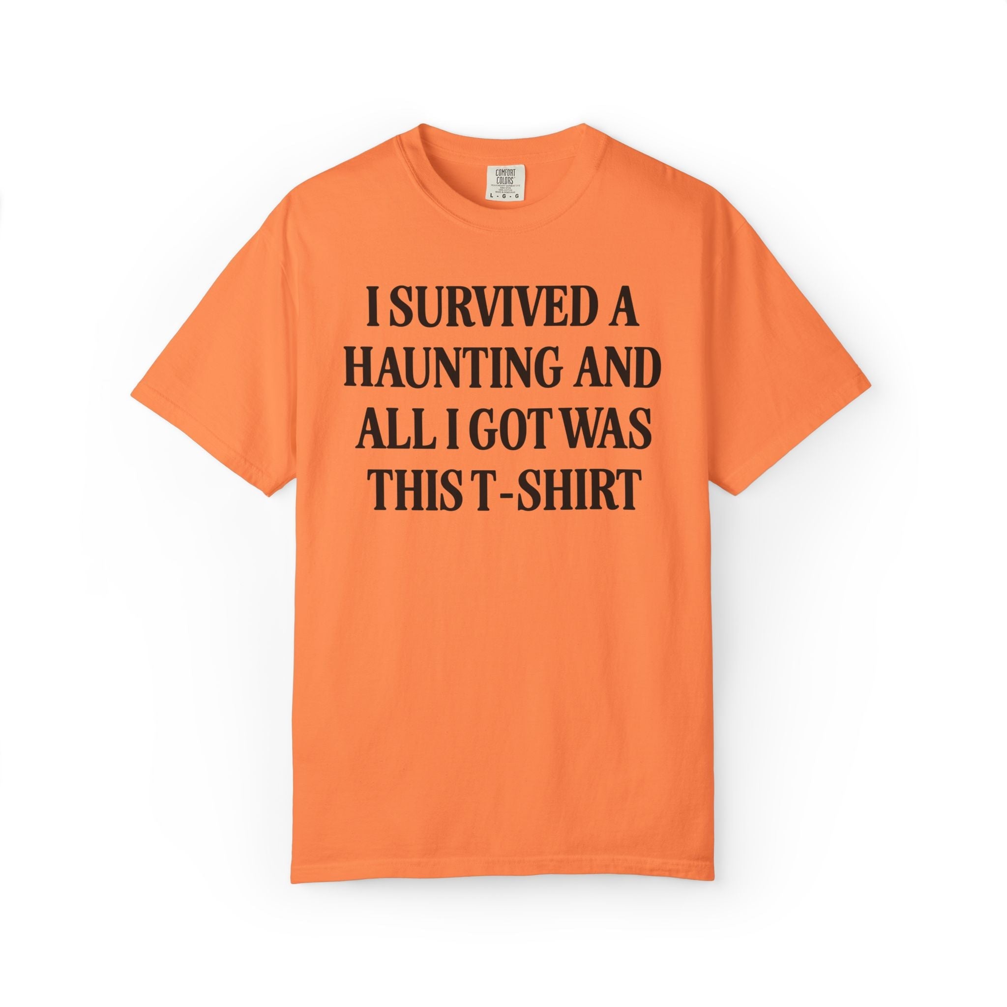 Funny Halloween Tee Shirt for Unhinged Friend Who Loves Spooky Ghosts or Ghost Tours: I Survived a Haunting and All I Got Was This T-Shirt - Opal and June