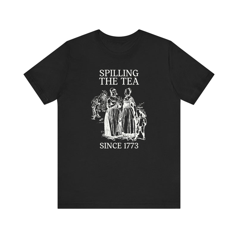 Funny American History Teacher Tee