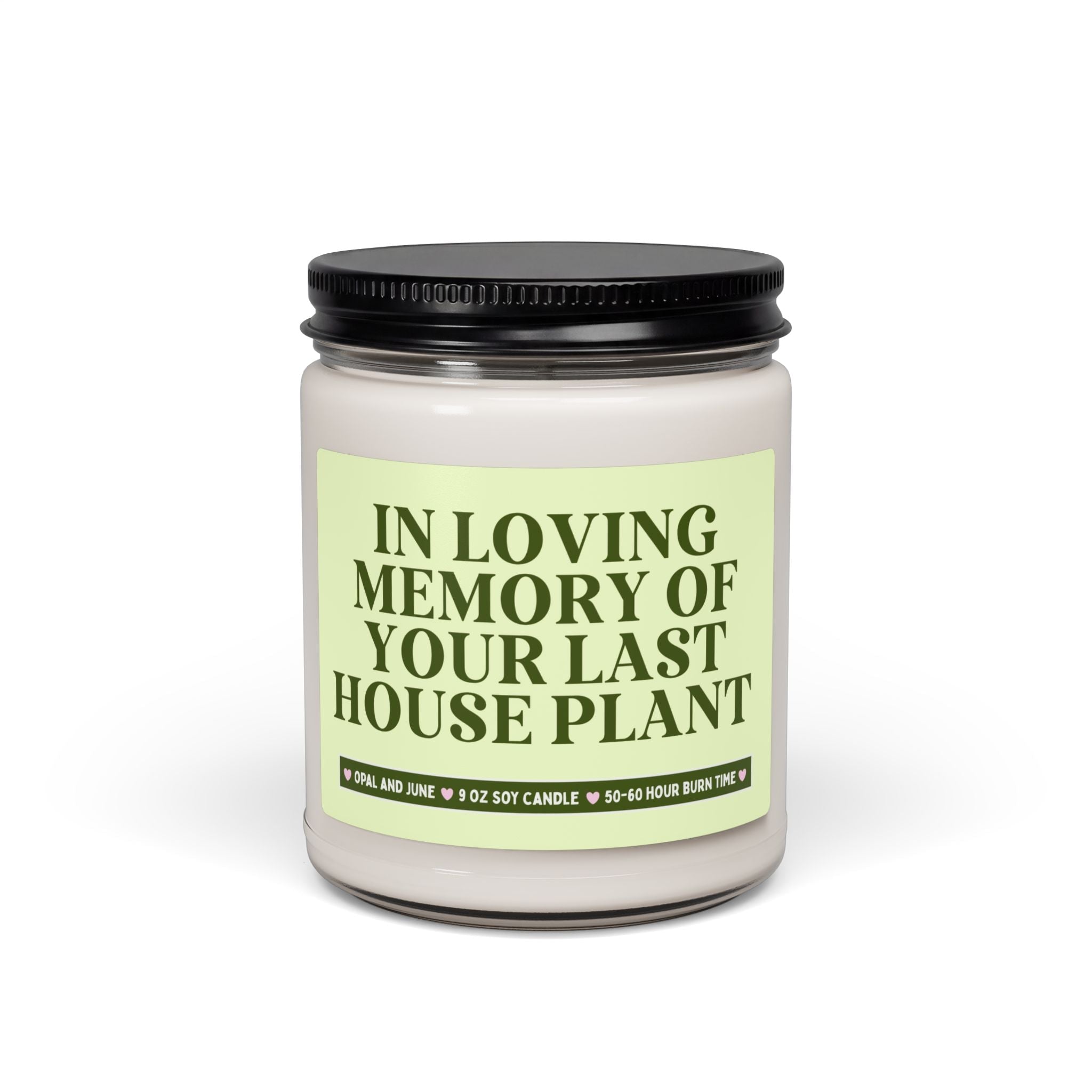 Funny Houseplant Lover Gift for Friend with a Black Thumb: In Loving Memory of Your Last House Plant, Funny Sarcastic 9 Oz Soy Candle - Opal and June