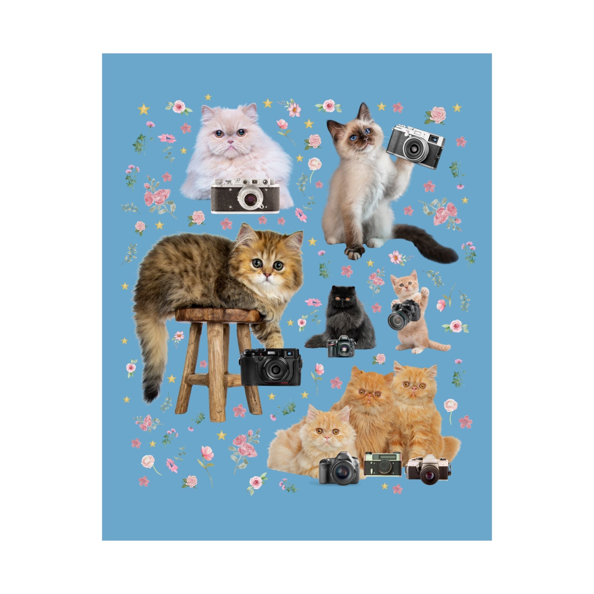 Funny Photographer Poster for Cat Lover, Animal Lover 90s Throwback Print with Flowers, Photography Major Decor for Cat Mom or Cat Dad - Opal and June