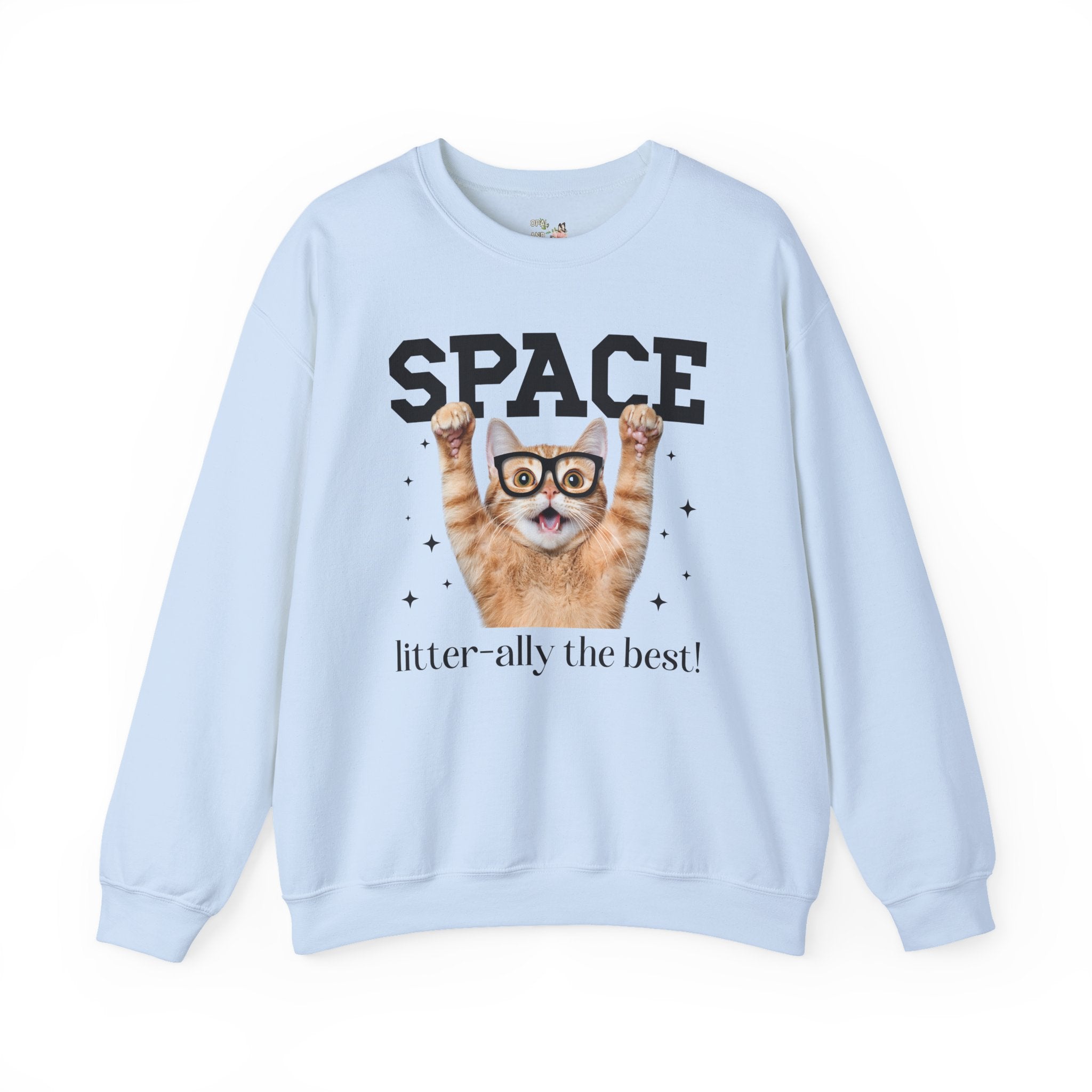 Funny Space Lover Sweatshirt for Astronomy Professor, Cute Science Teacher Crewneck, Cat Lover, Cat Mom or Cat Dad Middle School Teacher Tee - Opal and June