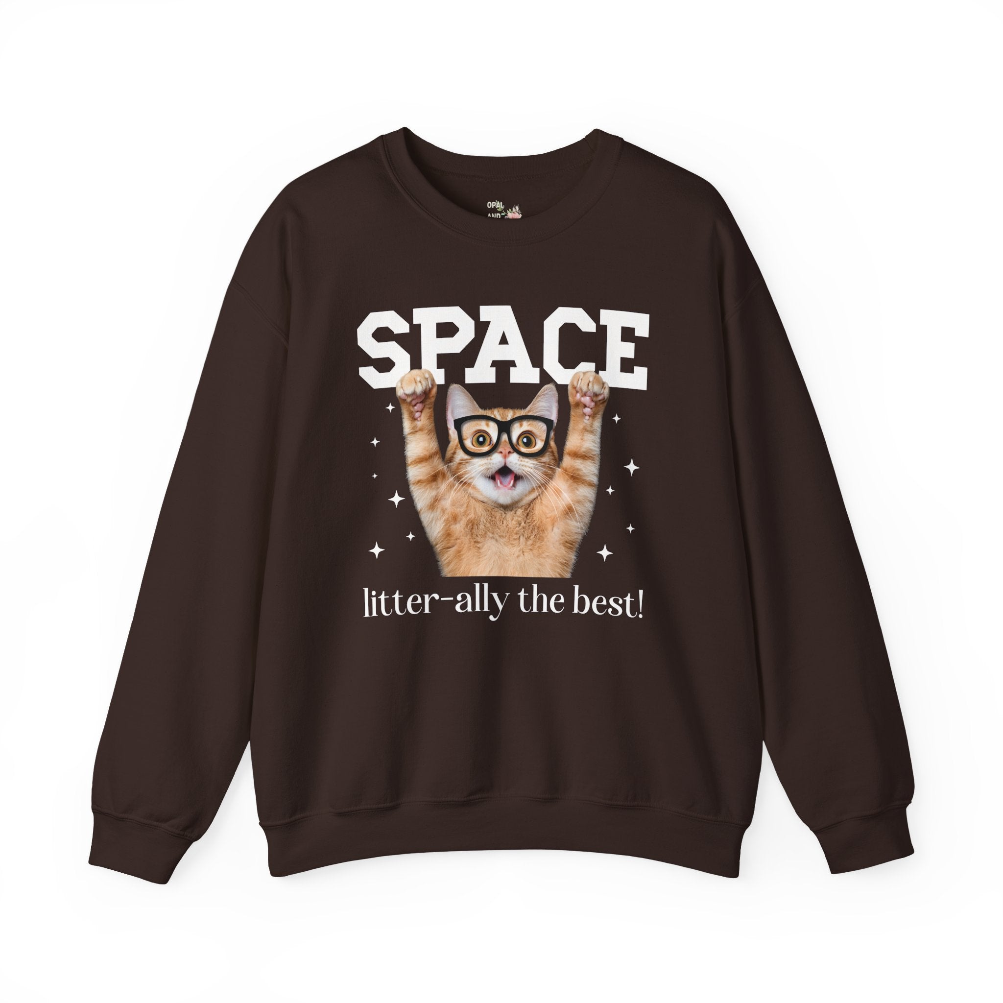 Funny Space Lover Sweatshirt for Astronomy Professor, Cute Science Teacher Crewneck, Cat Lover, Cat Mom or Cat Dad Middle School Teacher Tee - Opal and June