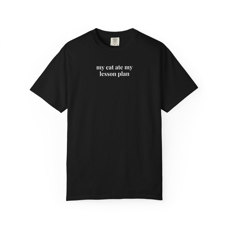 Funny Teacher Tee Shirt for Cat Lover, Cat Mom or Cat Dad T-Shirt, High School Teacher Who Loves Cats, Middle or Junior High School. Teacher - Opal and June
