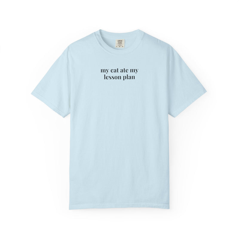 Funny Teacher Tee Shirt for Cat Lover, Cat Mom or Cat Dad T-Shirt, High School Teacher Who Loves Cats, Middle or Junior High School. Teacher - Opal and June
