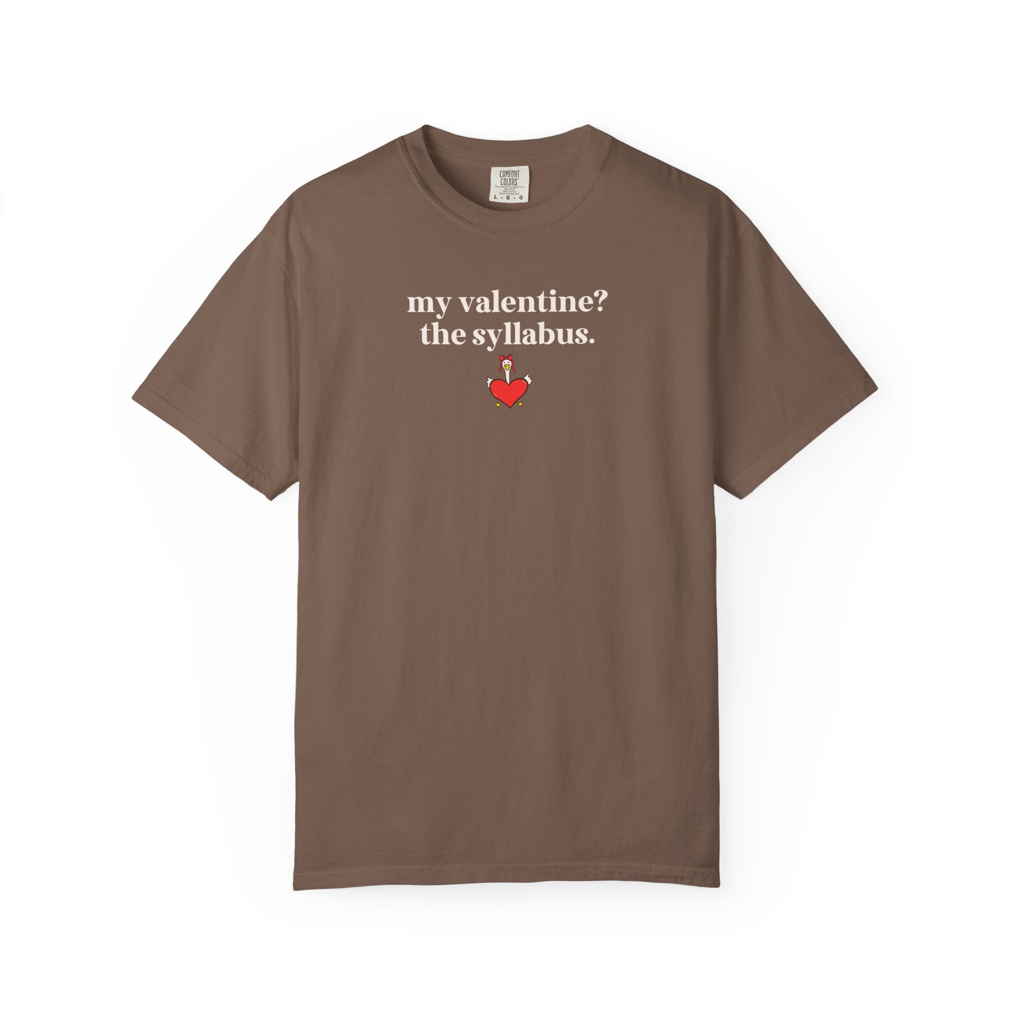 High School Teacher Matching Valentine's Day Shirt: My Valentine? The Syllabus | Silly College Professor, Teaching Assistant Tee with Goose - Opal and June