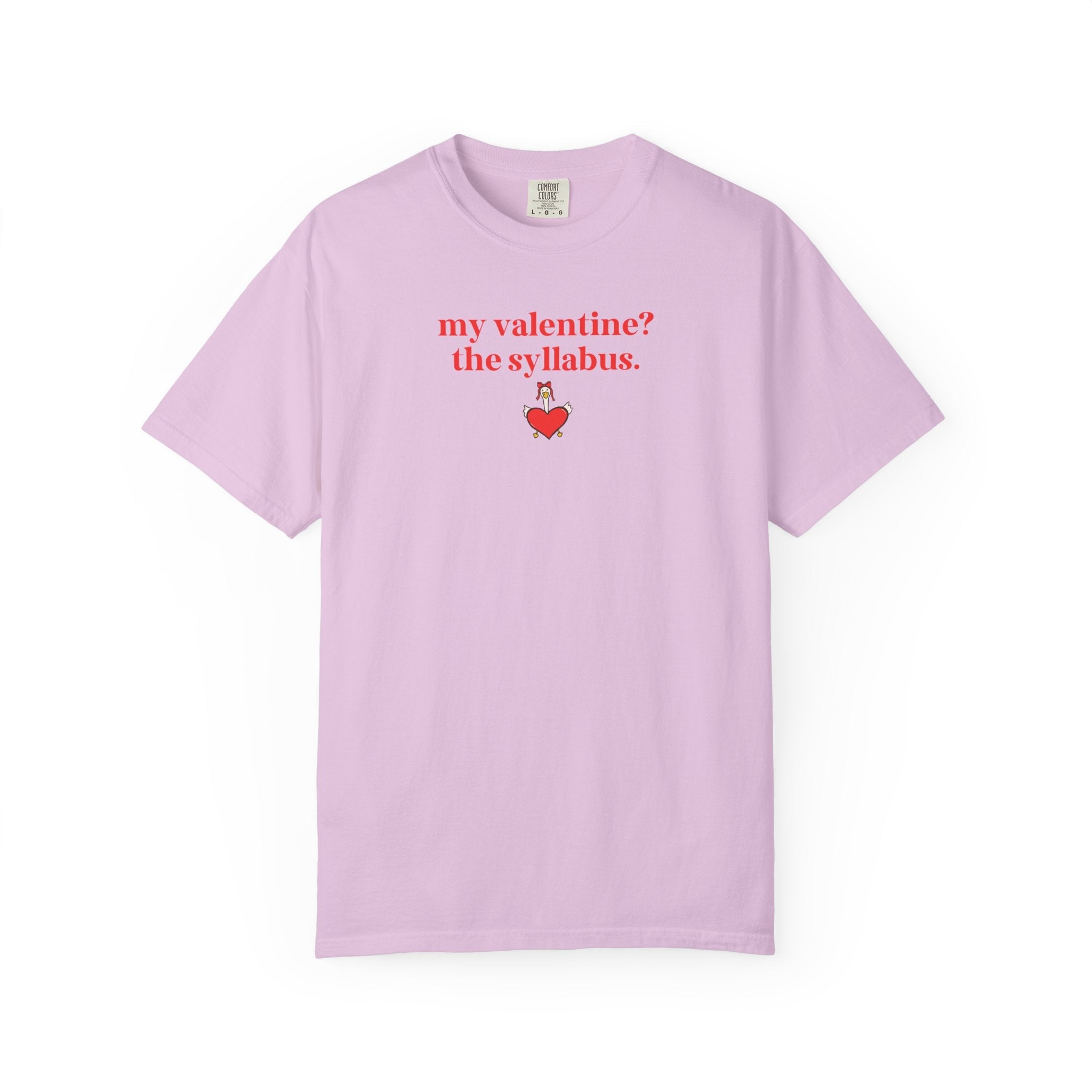 High School Teacher Matching Valentine's Day Shirt: My Valentine? The Syllabus | Silly College Professor, Teaching Assistant Tee with Goose - Opal and June