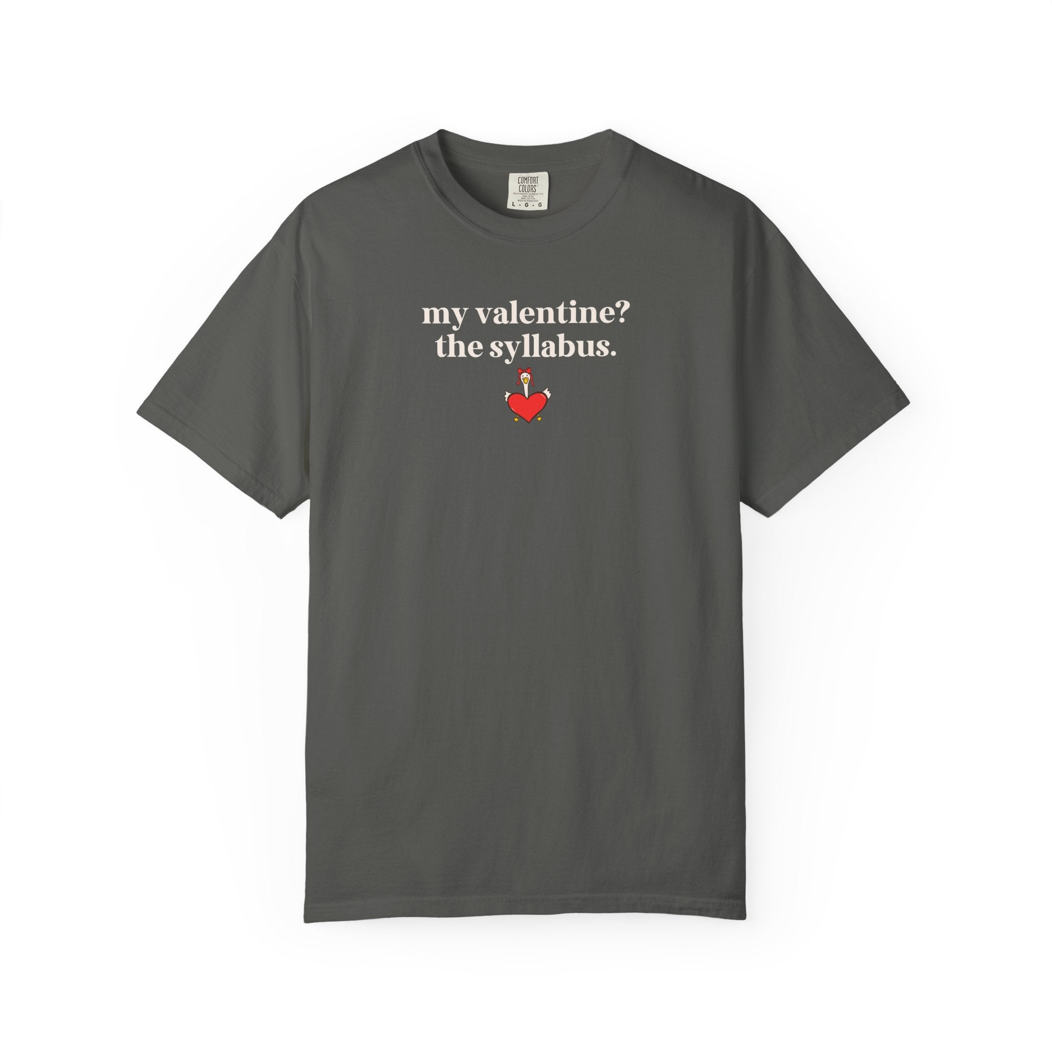 High School Teacher Matching Valentine's Day Shirt: My Valentine? The Syllabus | Silly College Professor, Teaching Assistant Tee with Goose - Opal and June