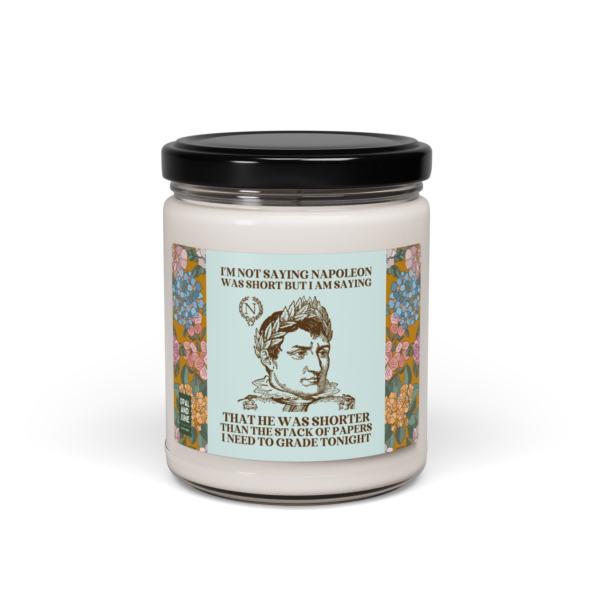 History Teacher 9 Oz Soy Candle, French History, Funny Saying Teacher Appreciation, Matching Teacher Gift, High School History Department - Opal and June