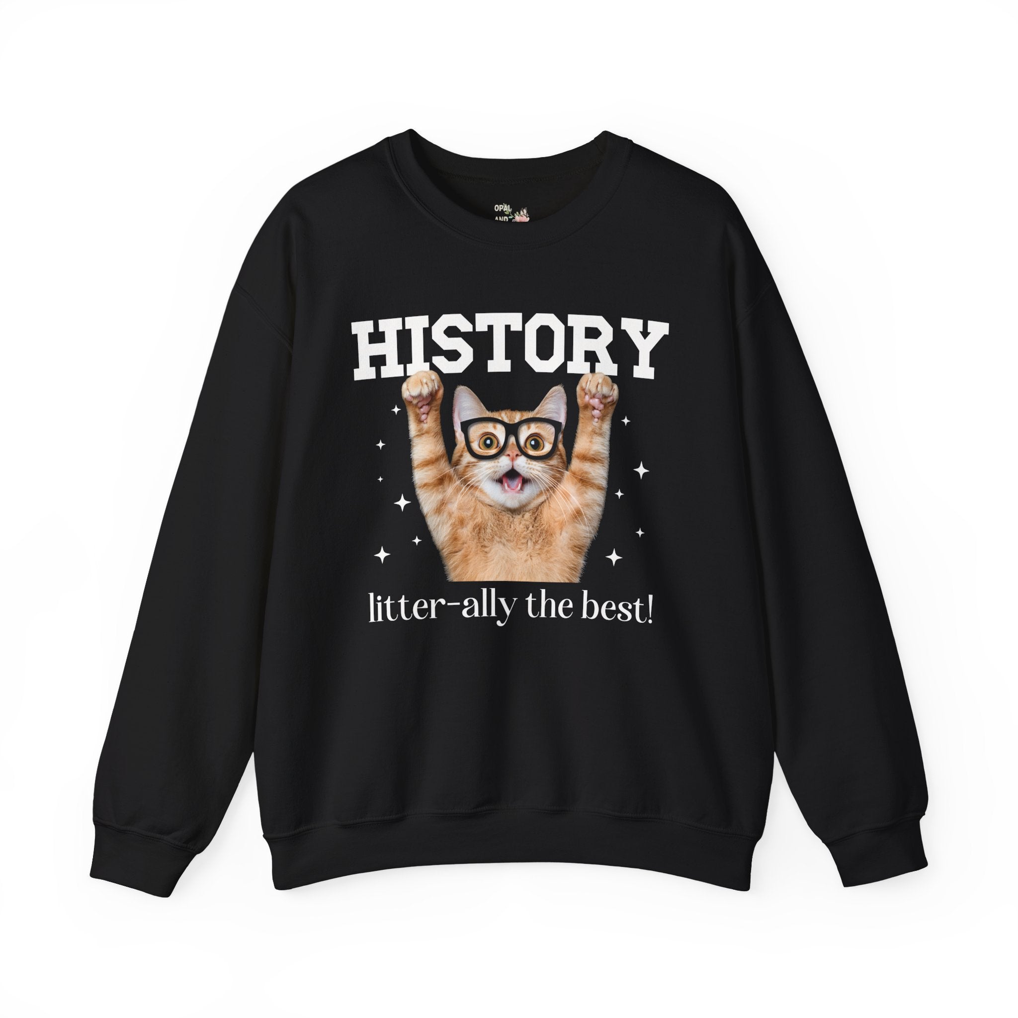 History Teacher Cat Lover - Opal and June