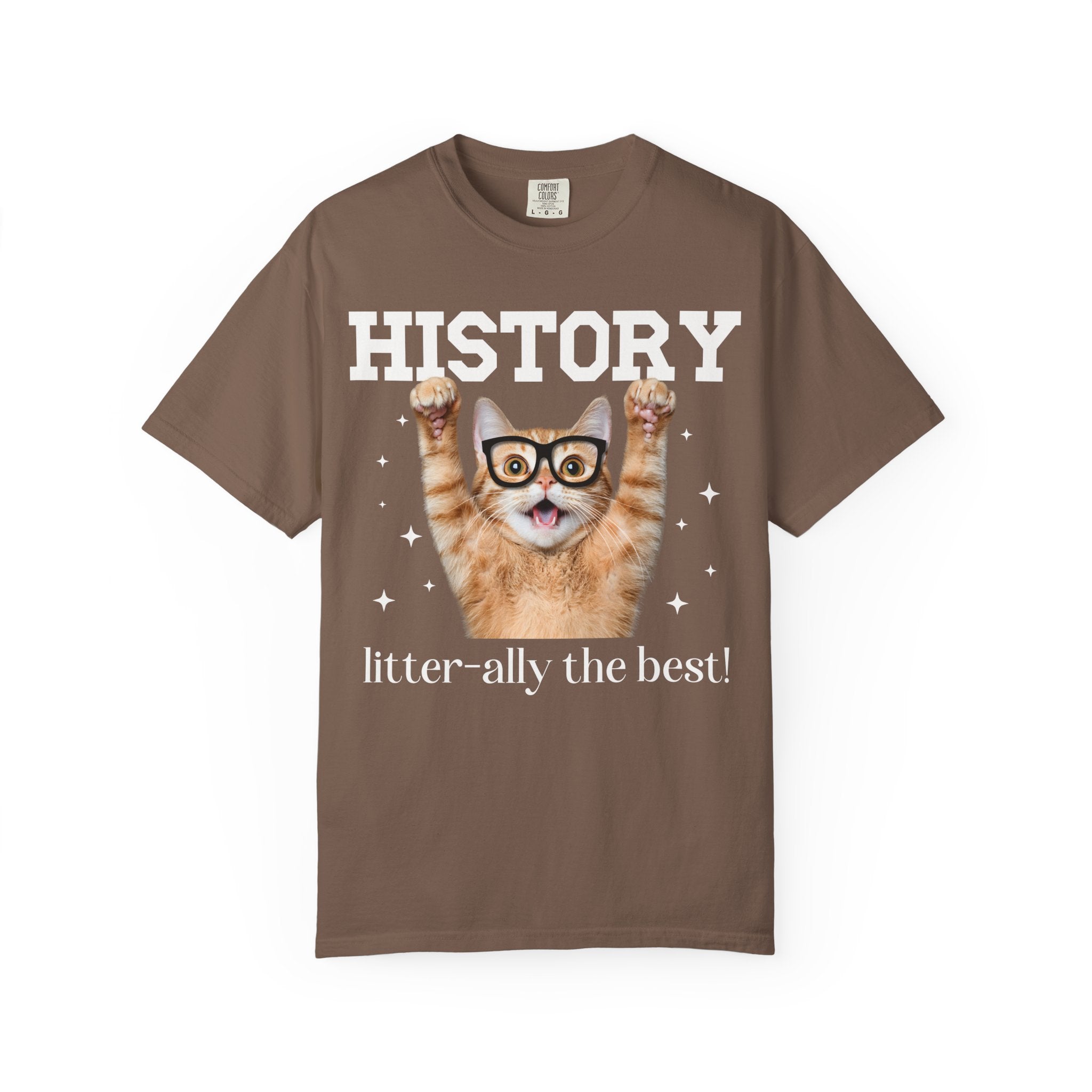 History Teacher Cat Lover Tee Shirt for Back to School, Funny Saying Cat Mom or Cat Dad Gift, First Day of School History Department Tee - Opal and June