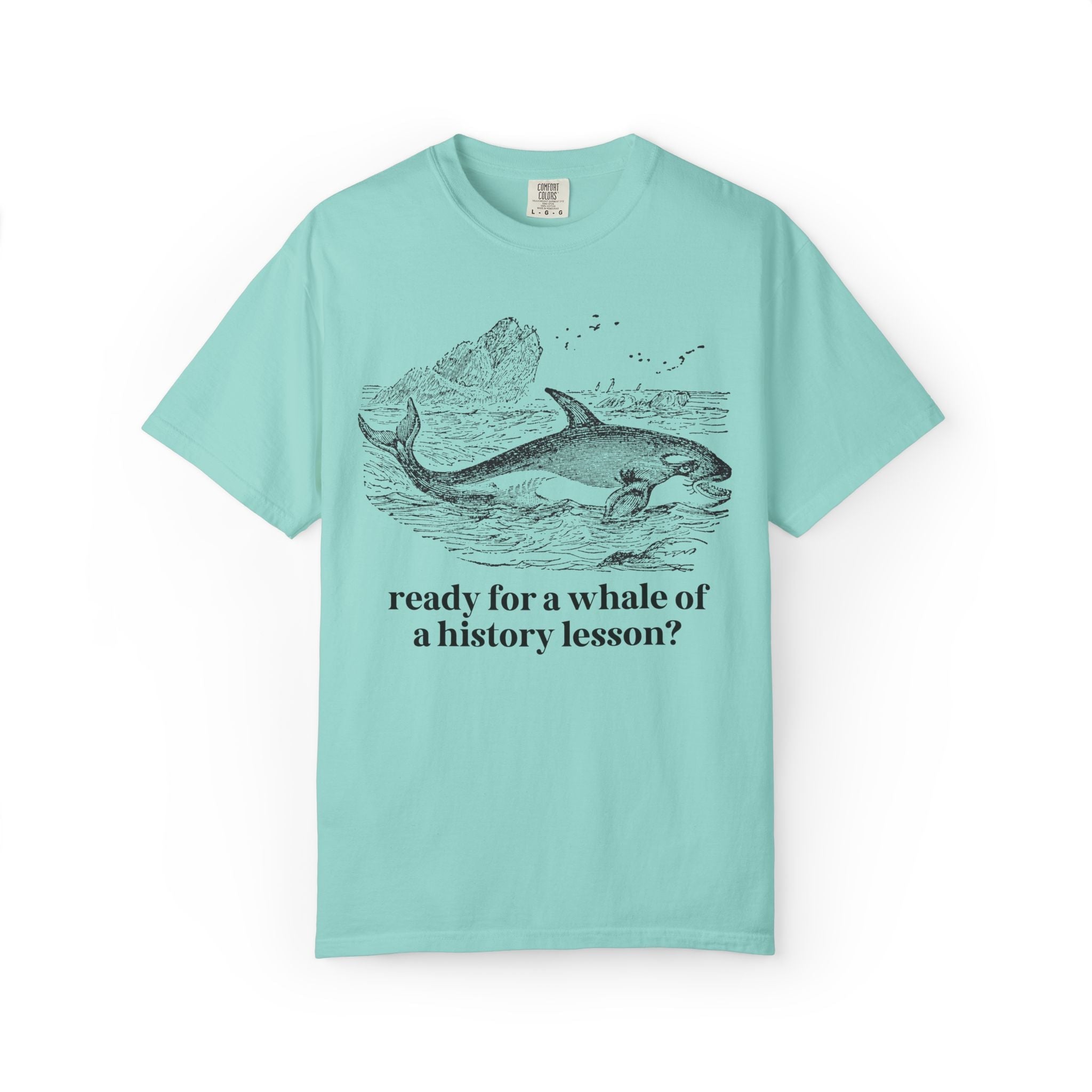 History Teacher T-Shirt for High School History Teacher Who Loves Whales: You Ready for a Whale of a History Lesson? History Professor Gift - Opal and June