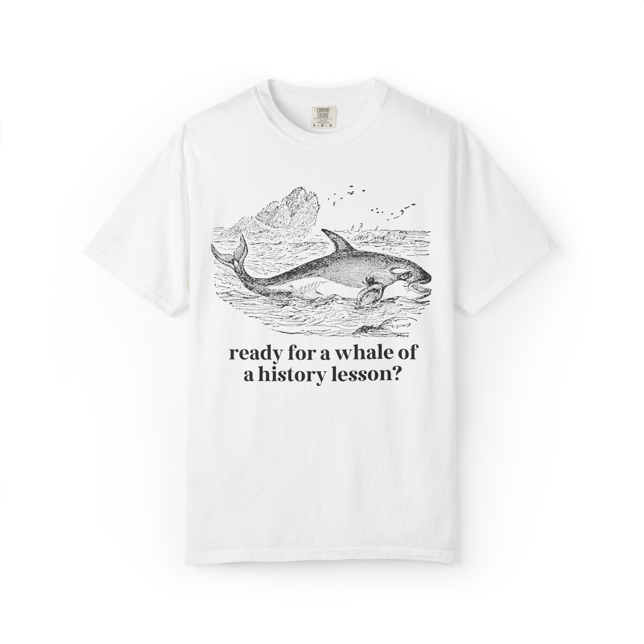 History Teacher T-Shirt for High School History Teacher Who Loves Whales: You Ready for a Whale of a History Lesson? History Professor Gift - Opal and June