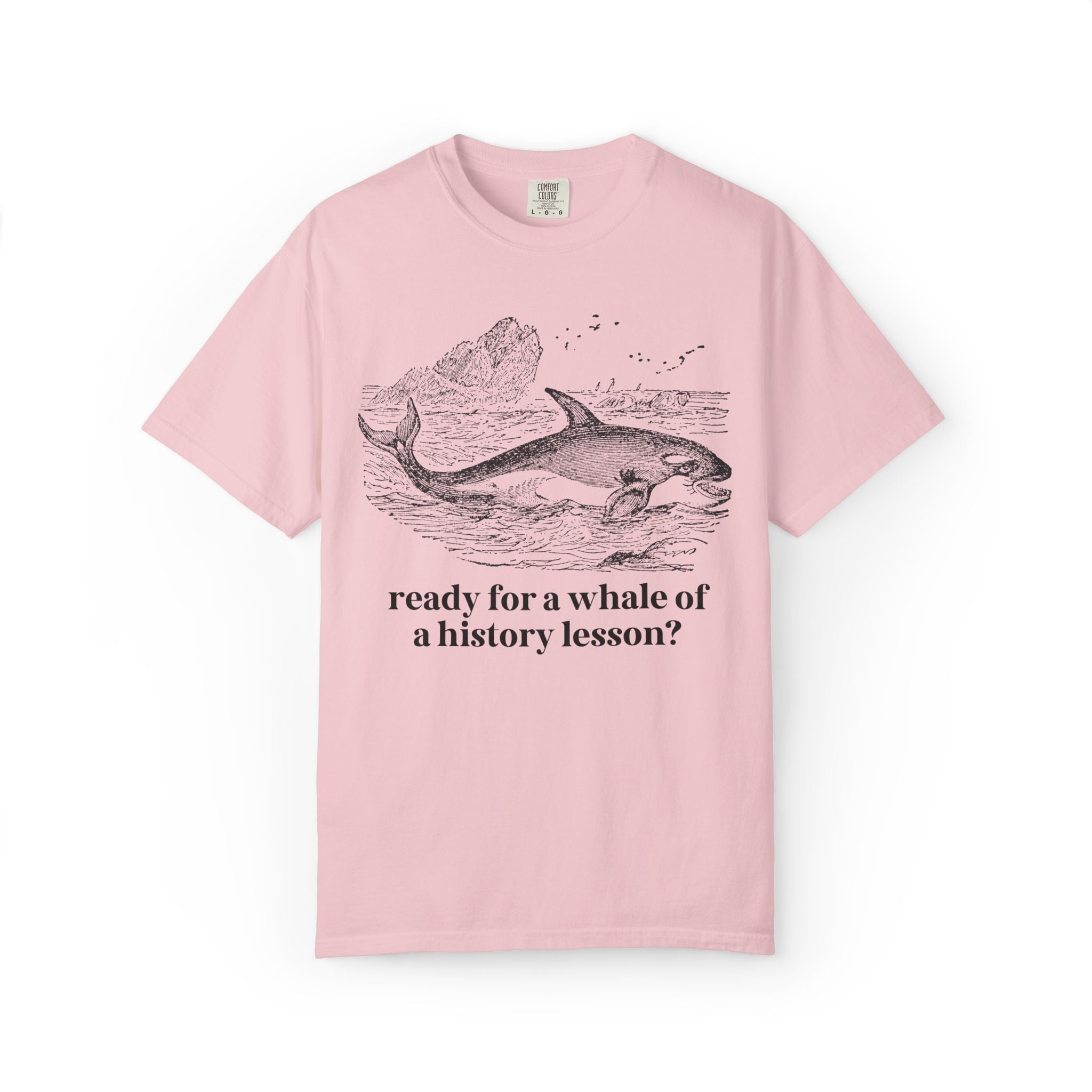 History Teacher T-Shirt for High School History Teacher Who Loves Whales: You Ready for a Whale of a History Lesson? History Professor Gift - Opal and June