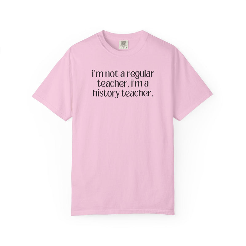 History Teacher Tee Shirt for Middle School Social Studies Teacher, High School History Teacher Appreciation Gift, History Professor Shirt - Opal and June
