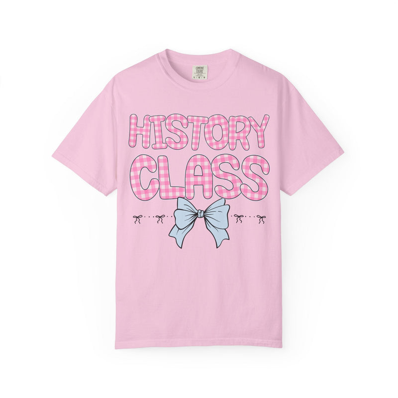History Teacher Tee Shirt with Pink Gingham Letters, First Day of School, Back to School Matching Teacher Tee with Bow, Soft Girl Style - Opal and June