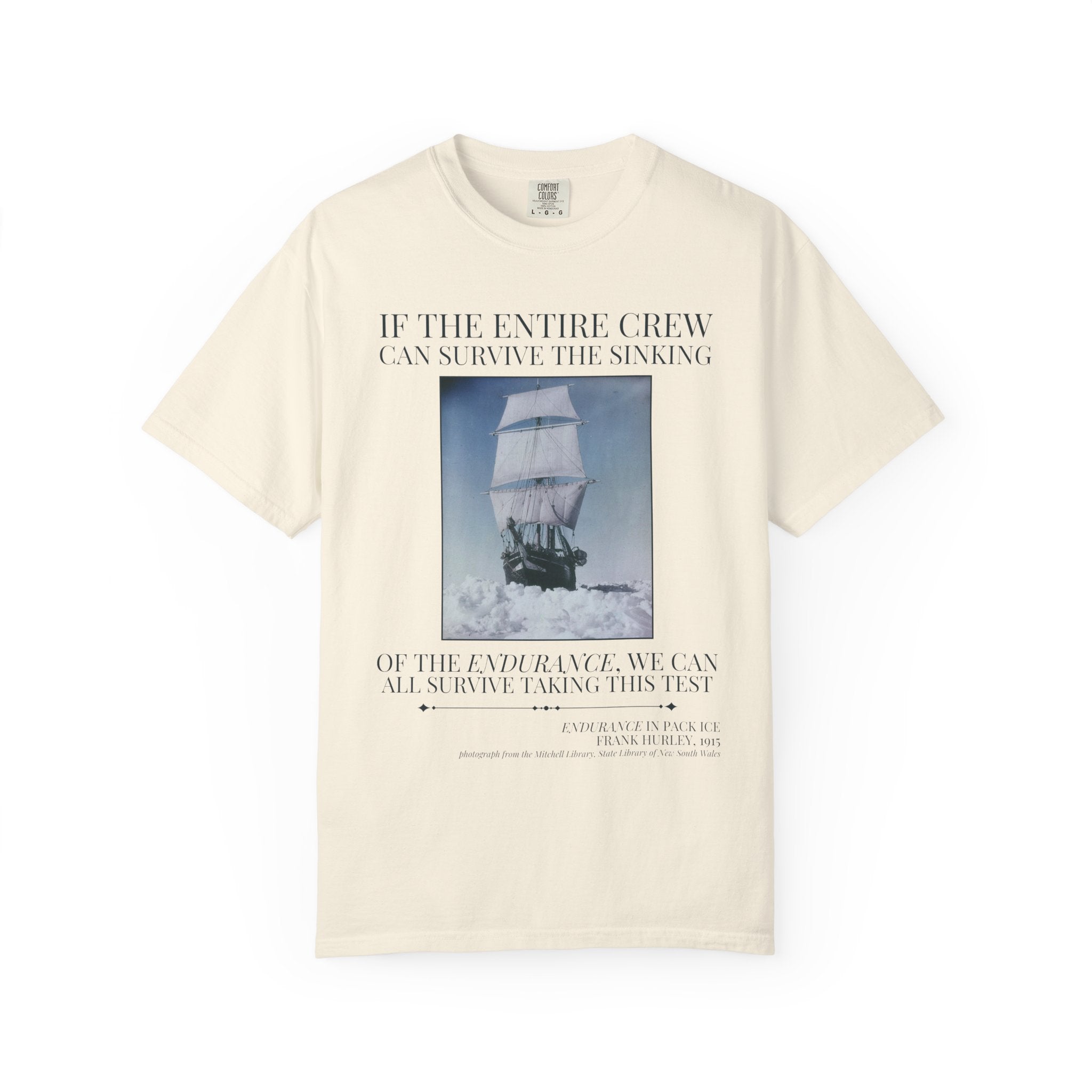 History Teacher Testing Day T-Shirt, Funny Saying Maritime History Professor Tee, World History, European History, Historical Disasters - Opal and June