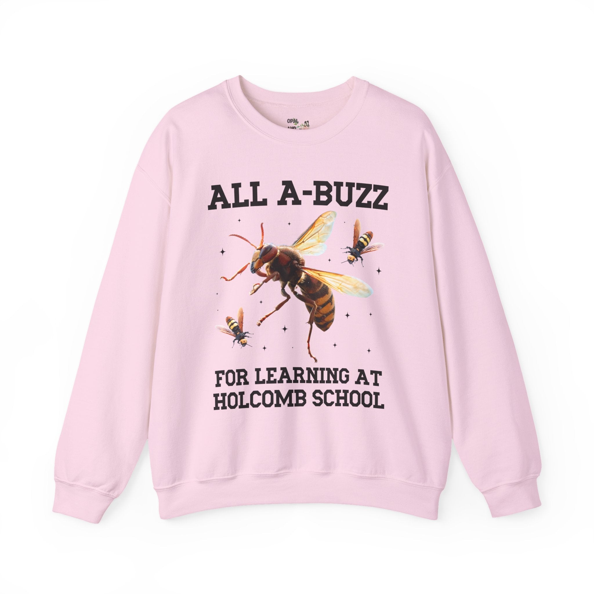 Holcomb Elementary School Sweatshirt: All A - Buzz For Learning - Opal and June