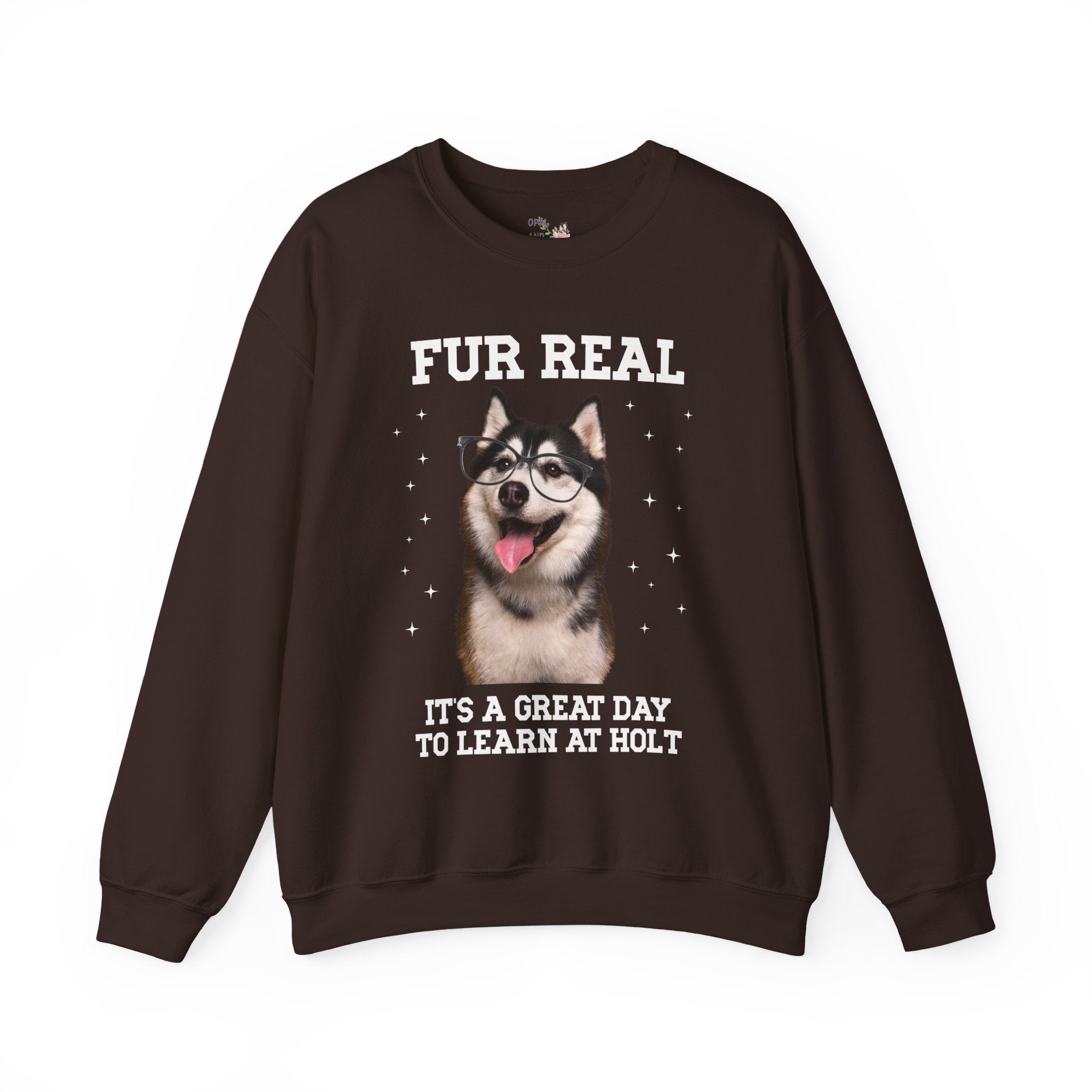 Holt Middle School Sweatshirt: Fur Real, It's a Great Day to Learn at Holt | FPS + Opal and June Sweatshirt, Fayetteville Public Schools - Opal and June