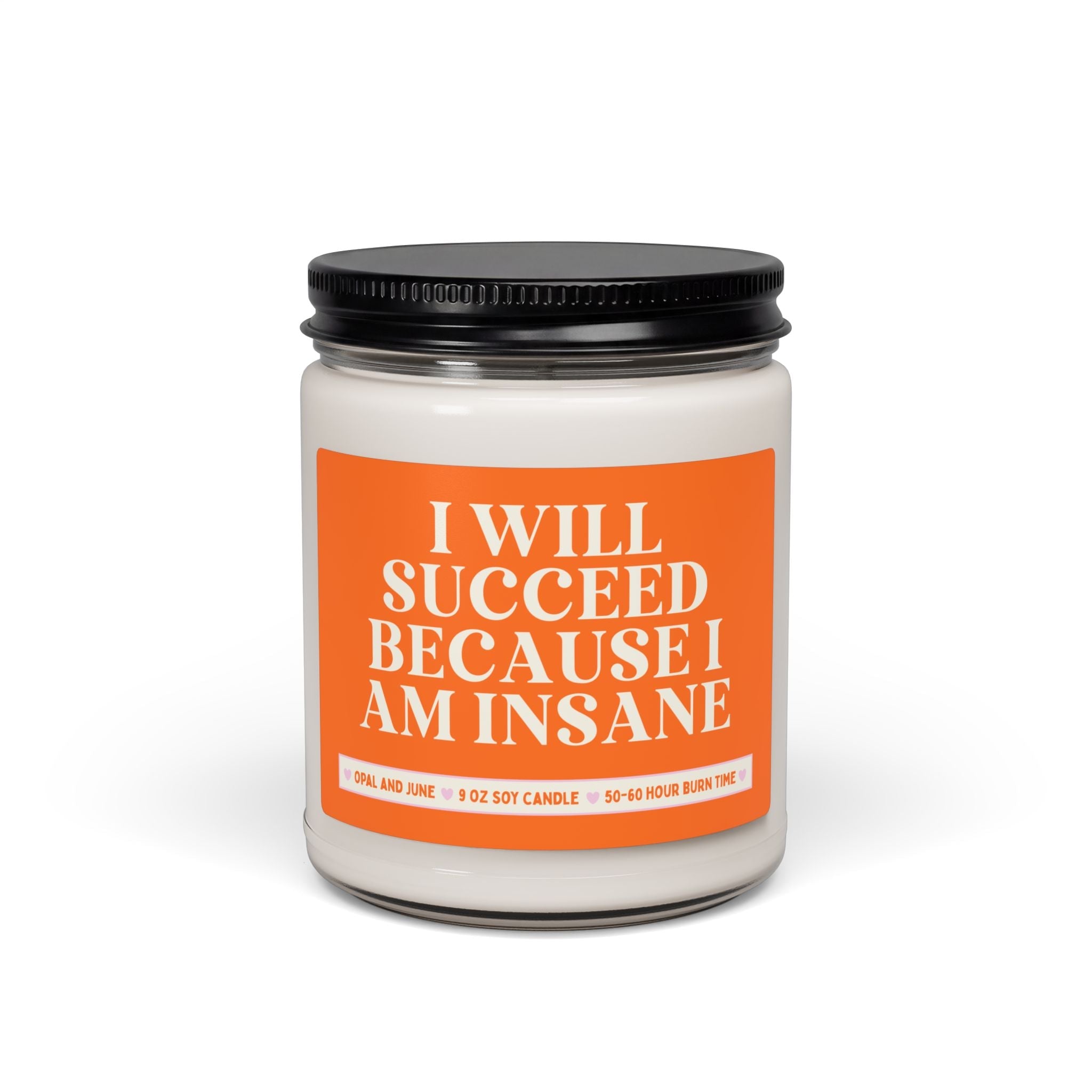 I Will Succeed Because I am Insane - Opal and June