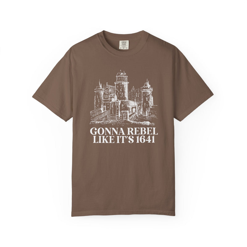Irish History Teacher, European History Buff Tee Shirt, European History Tee, Irish Rebellion of 1641, Religious History, Tudor History Gift - Opal and June