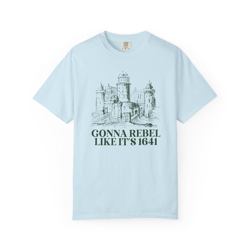 Irish History Teacher, European History Buff Tee Shirt, European History Tee, Irish Rebellion of 1641, Religious History, Tudor History Gift - Opal and June