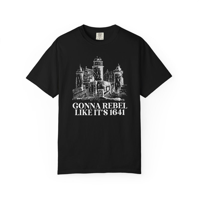 Irish History Teacher, European History Buff Tee Shirt, European History Tee, Irish Rebellion of 1641, Religious History, Tudor History Gift - Opal and June
