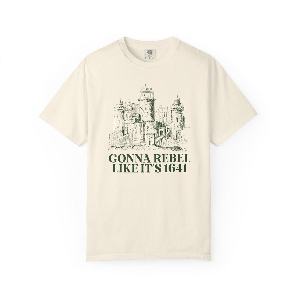 Irish History Teacher, European History Buff Tee Shirt, European History Tee, Irish Rebellion of 1641, Religious History, Tudor History Gift - Opal and June