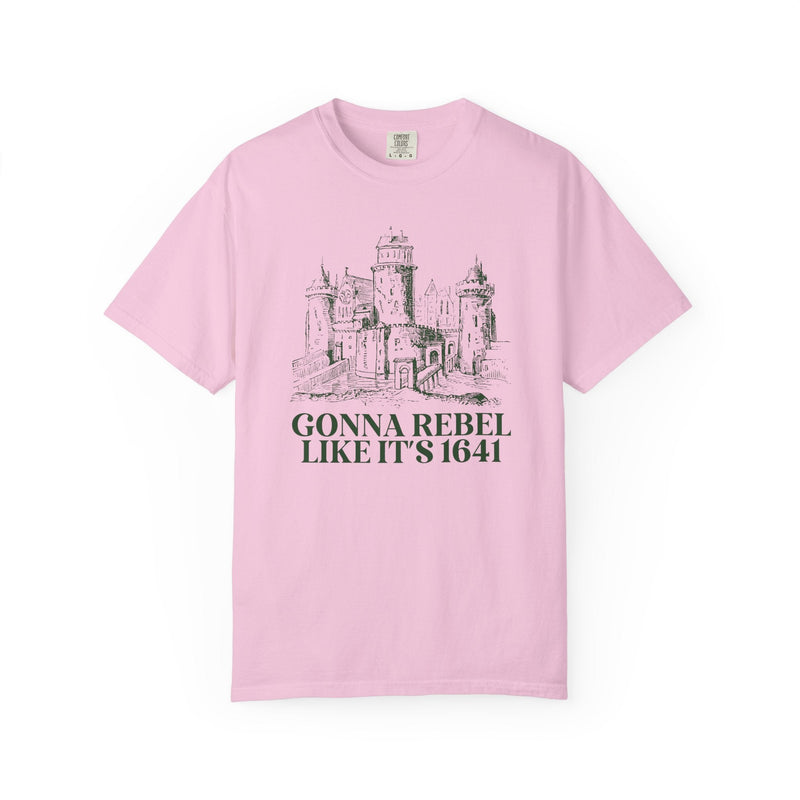 Irish History Teacher, European History Buff Tee Shirt, European History Tee, Irish Rebellion of 1641, Religious History, Tudor History Gift - Opal and June