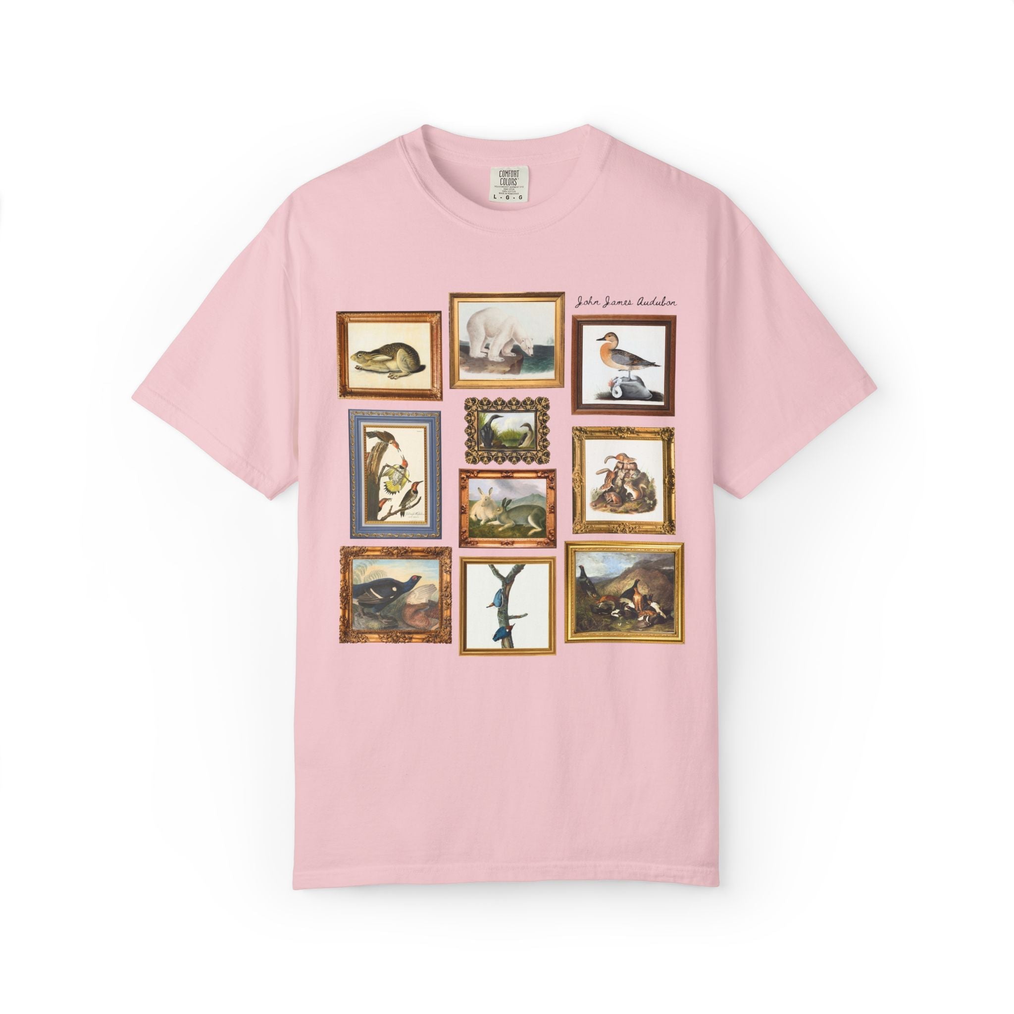John James Audubon Famous Paintings Tee Shirt - Opal and June