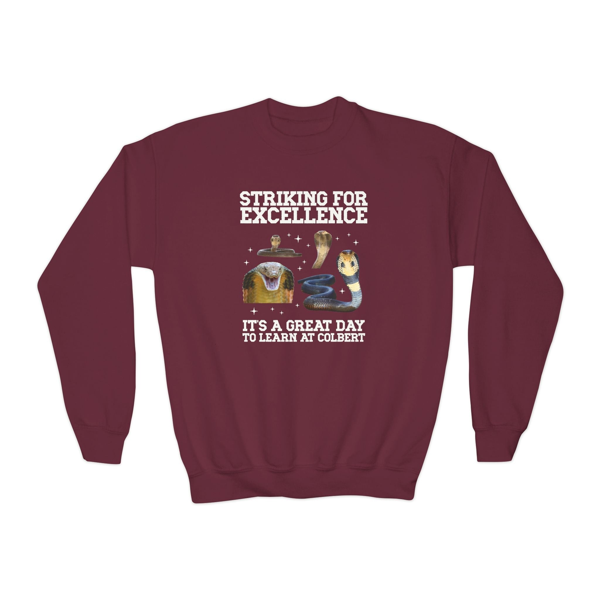John L. Colbert School Kids Sweatshirt: Striking for Excellence | FPS + Opal and June Kids Sweatshirt, Fayetteville Public Schools - Opal and June