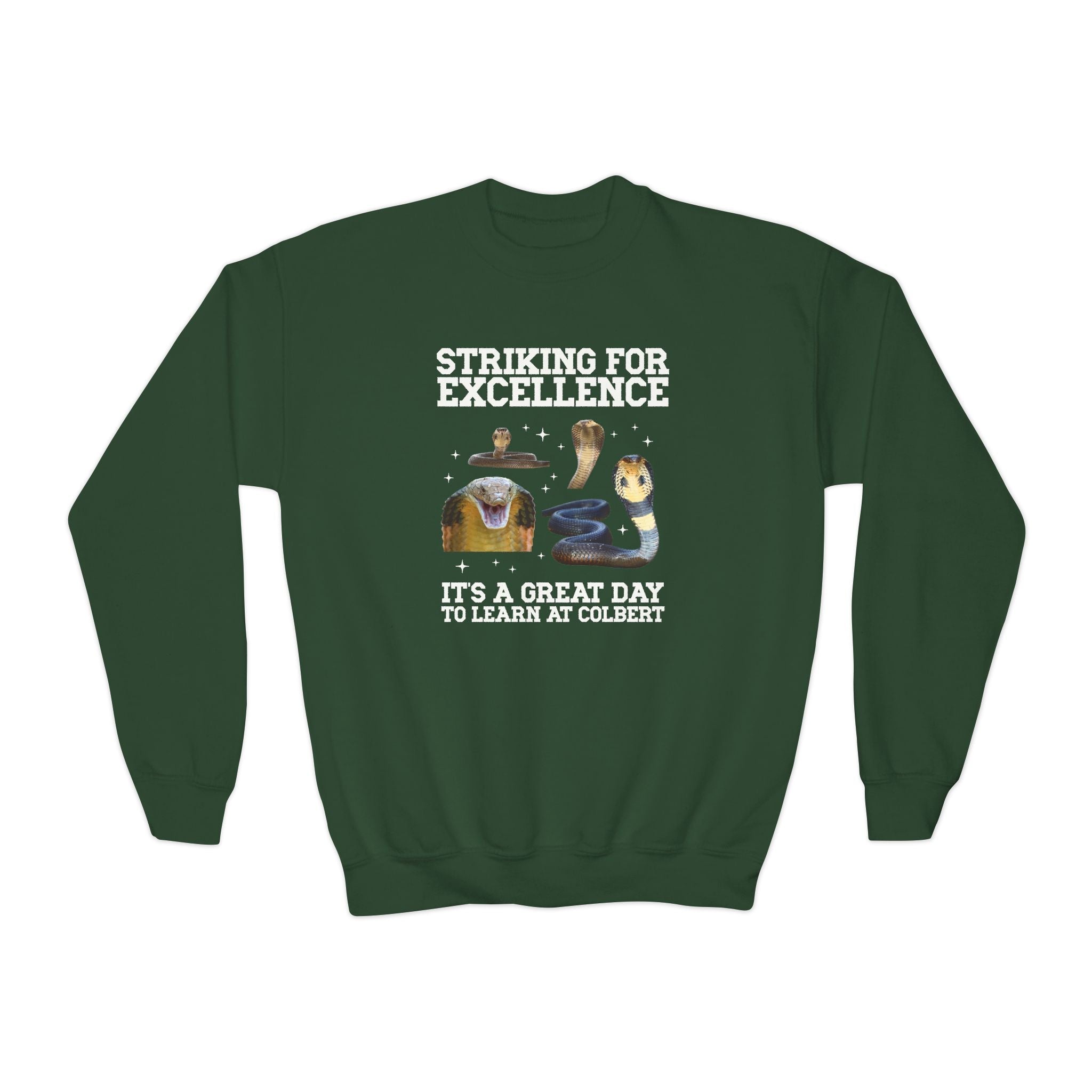 John L. Colbert School Kids Sweatshirt: Striking for Excellence | FPS + Opal and June Kids Sweatshirt, Fayetteville Public Schools - Opal and June