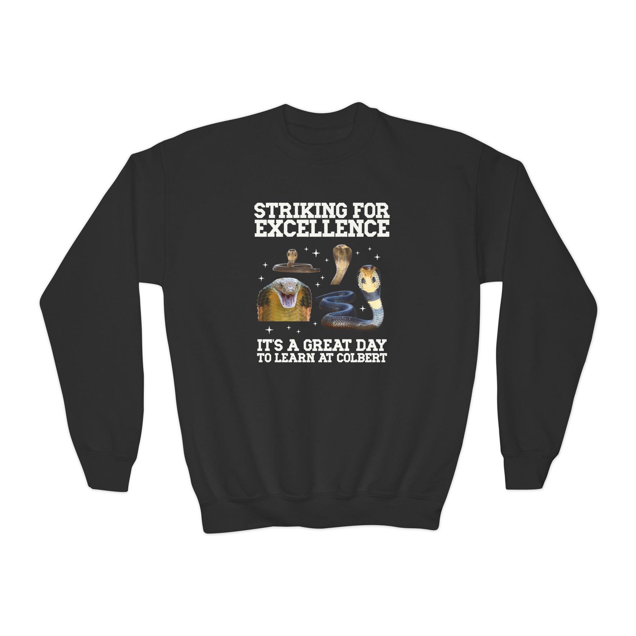 John L. Colbert School Kids Sweatshirt: Striking for Excellence | FPS + Opal and June Kids Sweatshirt, Fayetteville Public Schools - Opal and June