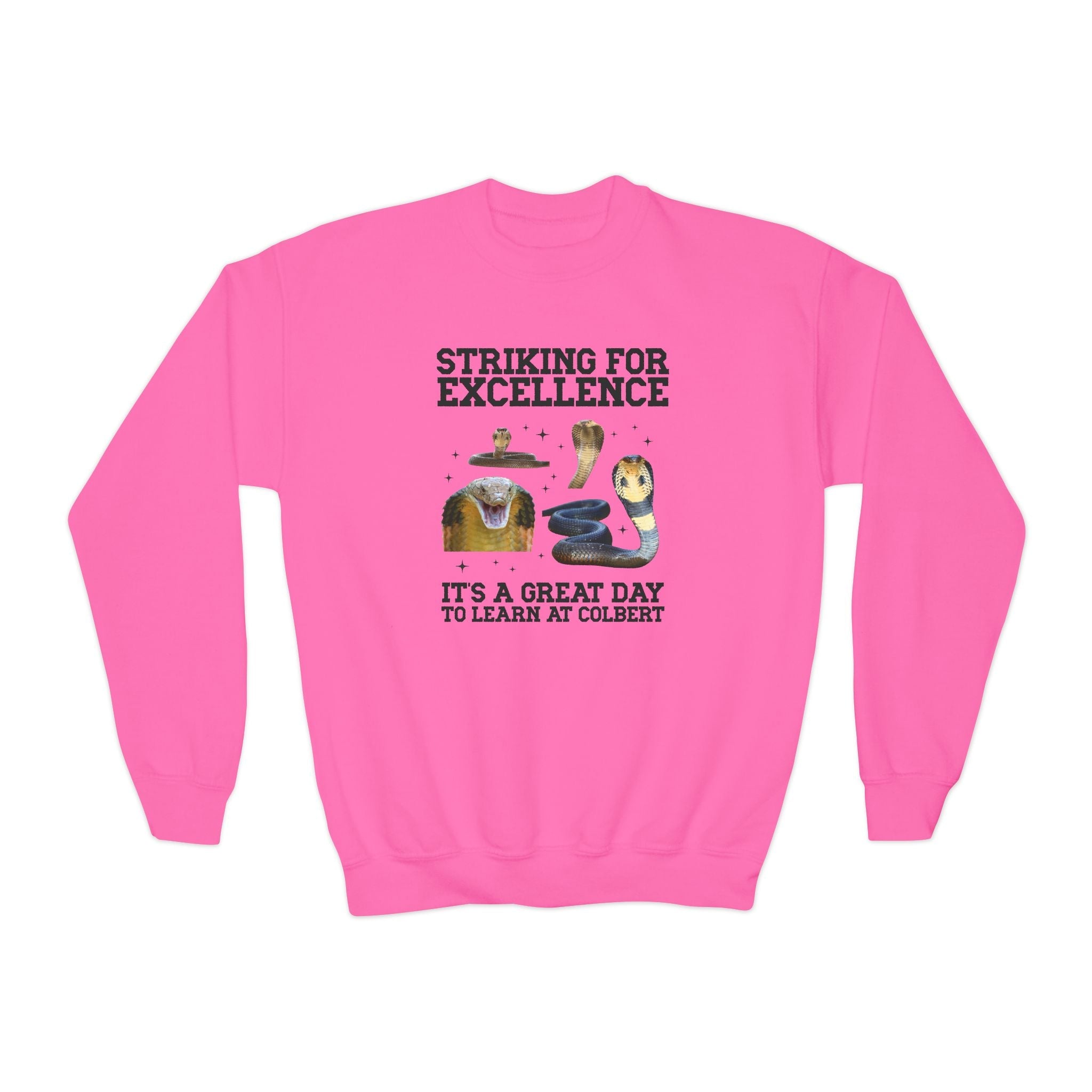 John L. Colbert School Kids Sweatshirt: Striking for Excellence | FPS + Opal and June Kids Sweatshirt, Fayetteville Public Schools - Opal and June