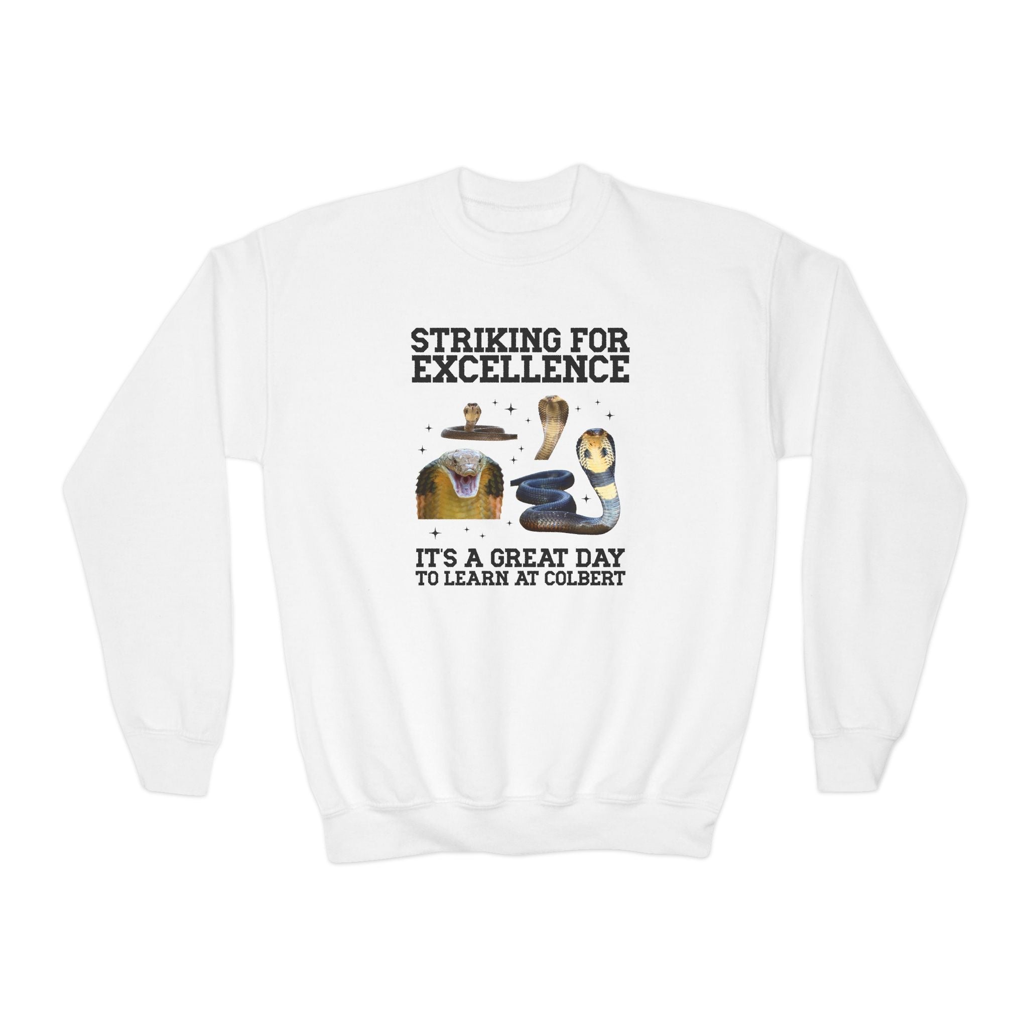 John L. Colbert School Kids Sweatshirt: Striking for Excellence | FPS + Opal and June Kids Sweatshirt, Fayetteville Public Schools - Opal and June
