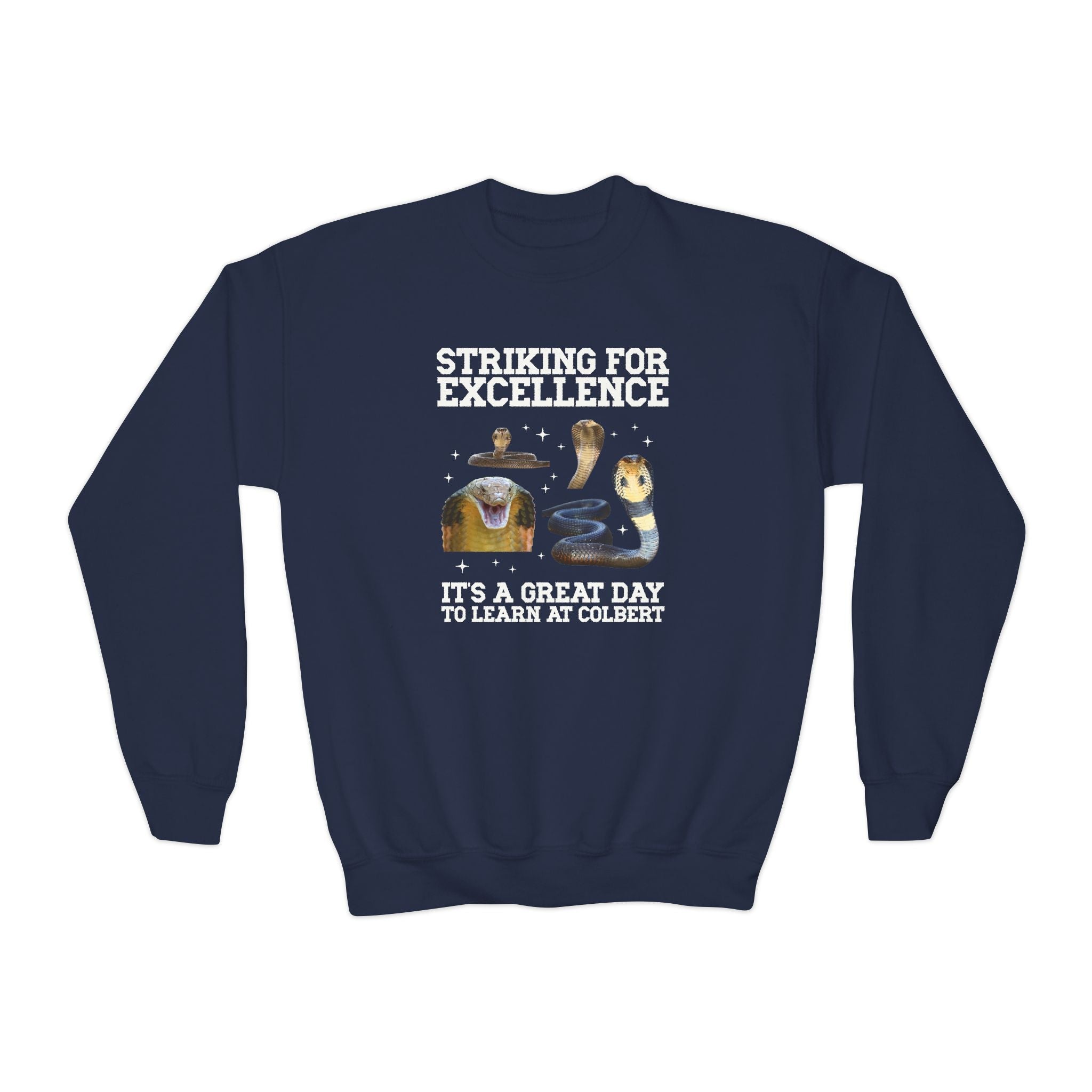 John L. Colbert School Kids Sweatshirt: Striking for Excellence | FPS + Opal and June Kids Sweatshirt, Fayetteville Public Schools - Opal and June