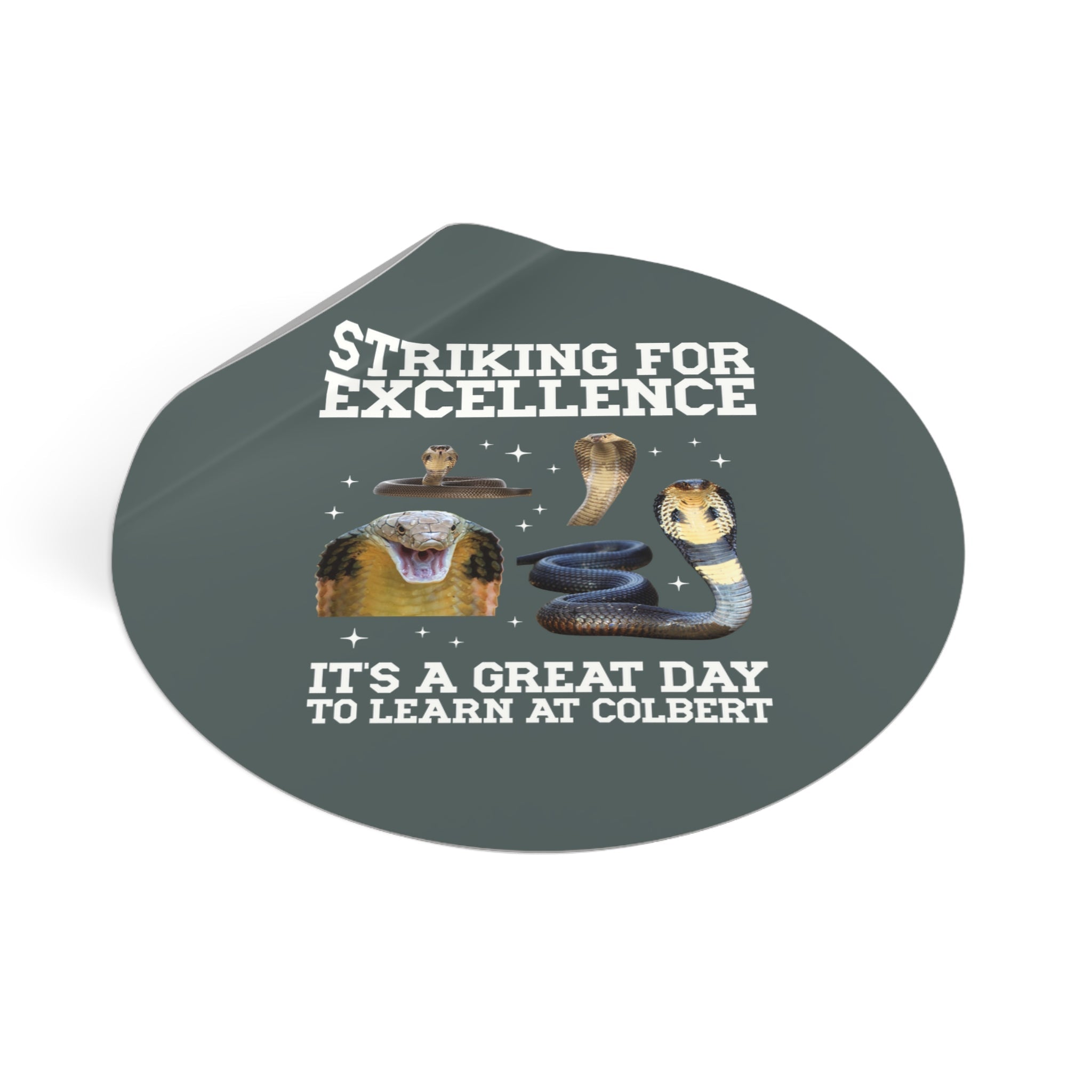 John L. Colbert School Sticker: Striking for Excellence | FPS + Opal and June Sticker, Fayetteville Public Schools - Opal and June