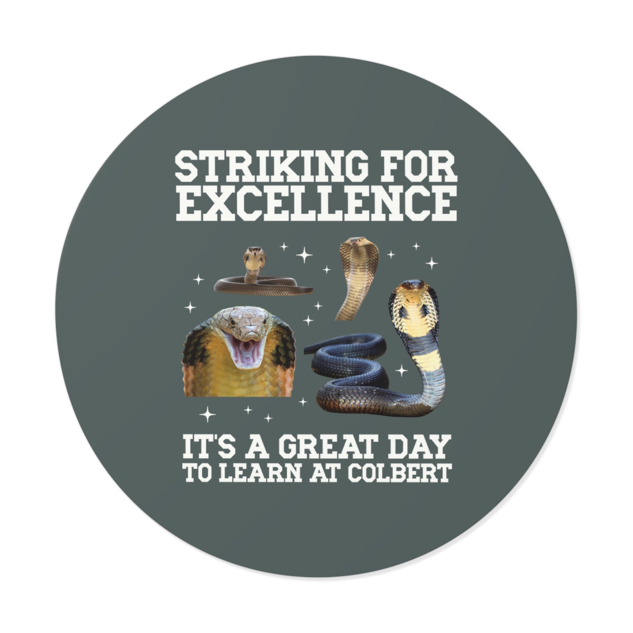 John L. Colbert School Sticker: Striking for Excellence | FPS + Opal and June Sticker, Fayetteville Public Schools - Opal and June