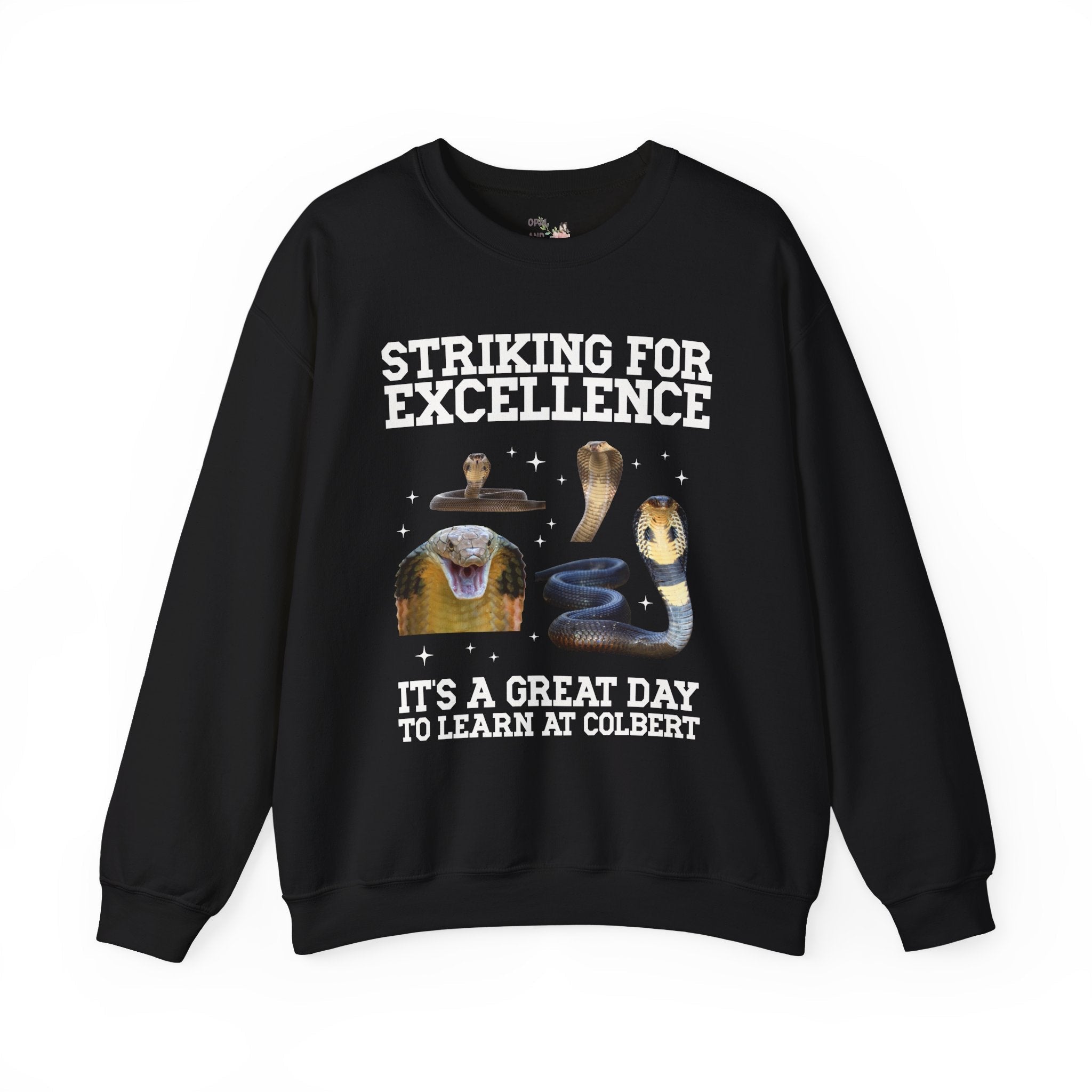 John L. Colbert School Sweatshirt: Striking for Excellence | FPS + Opal and June Sweatshirt, Fayetteville Public Schools - Opal and June