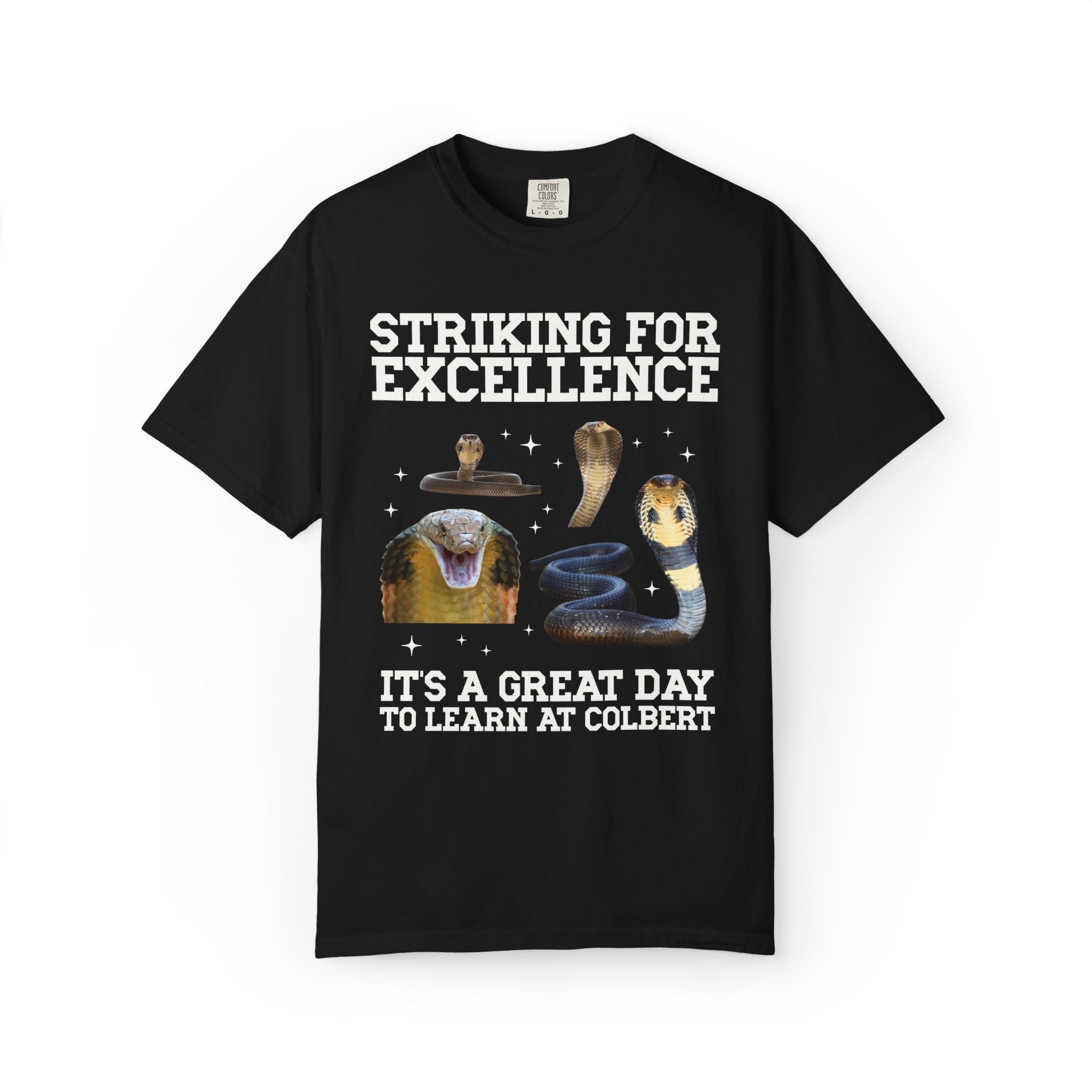 John L. Colbert School Tee Shirt: Striking for Excellence | FPS + Opal and June Tee Shirt, Fayetteville Public Schools - Opal and June