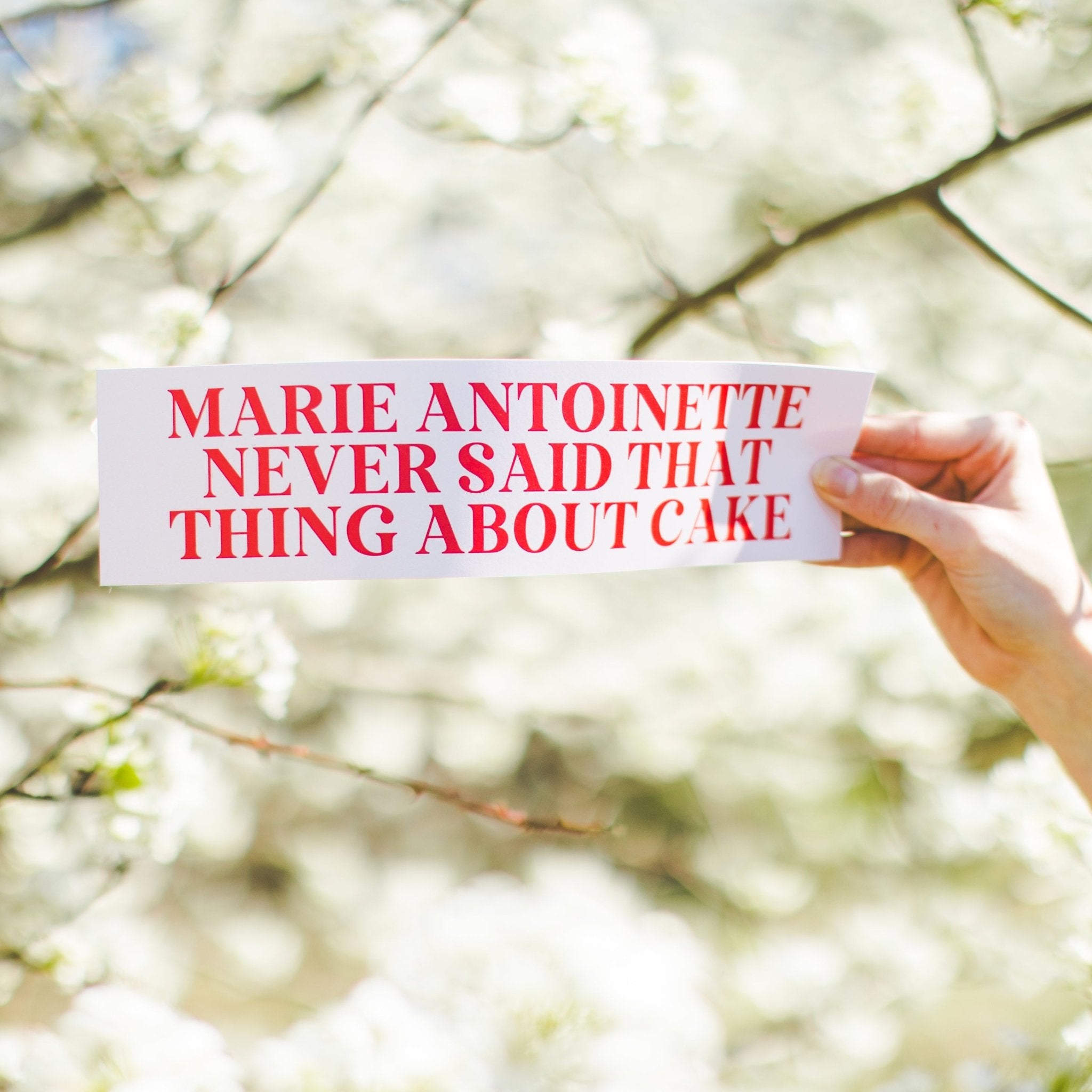 Marie Antoinette Bumper Sticker: Funny History Gift - Opal and June