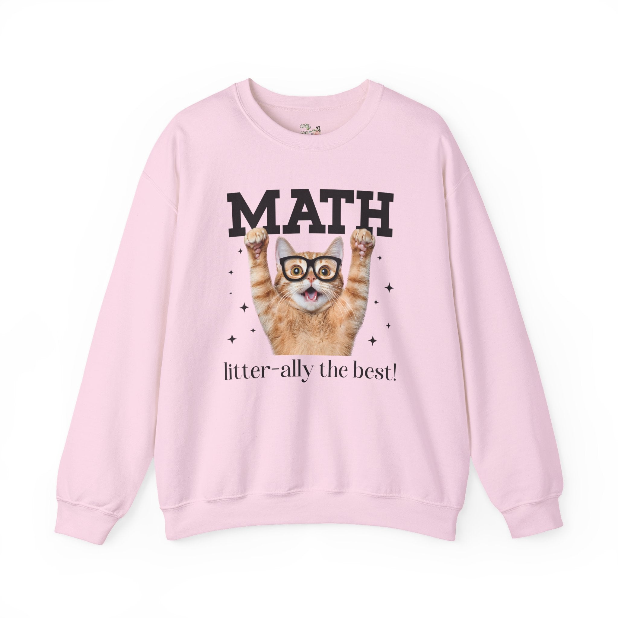 Math Teacher Sweatshirt for Cat Lover, Funny Saying Math Lover Gift, Math Major, Women in STEM, Cat Mom or Cat Dad Shirt, Middle School Math - Opal and June