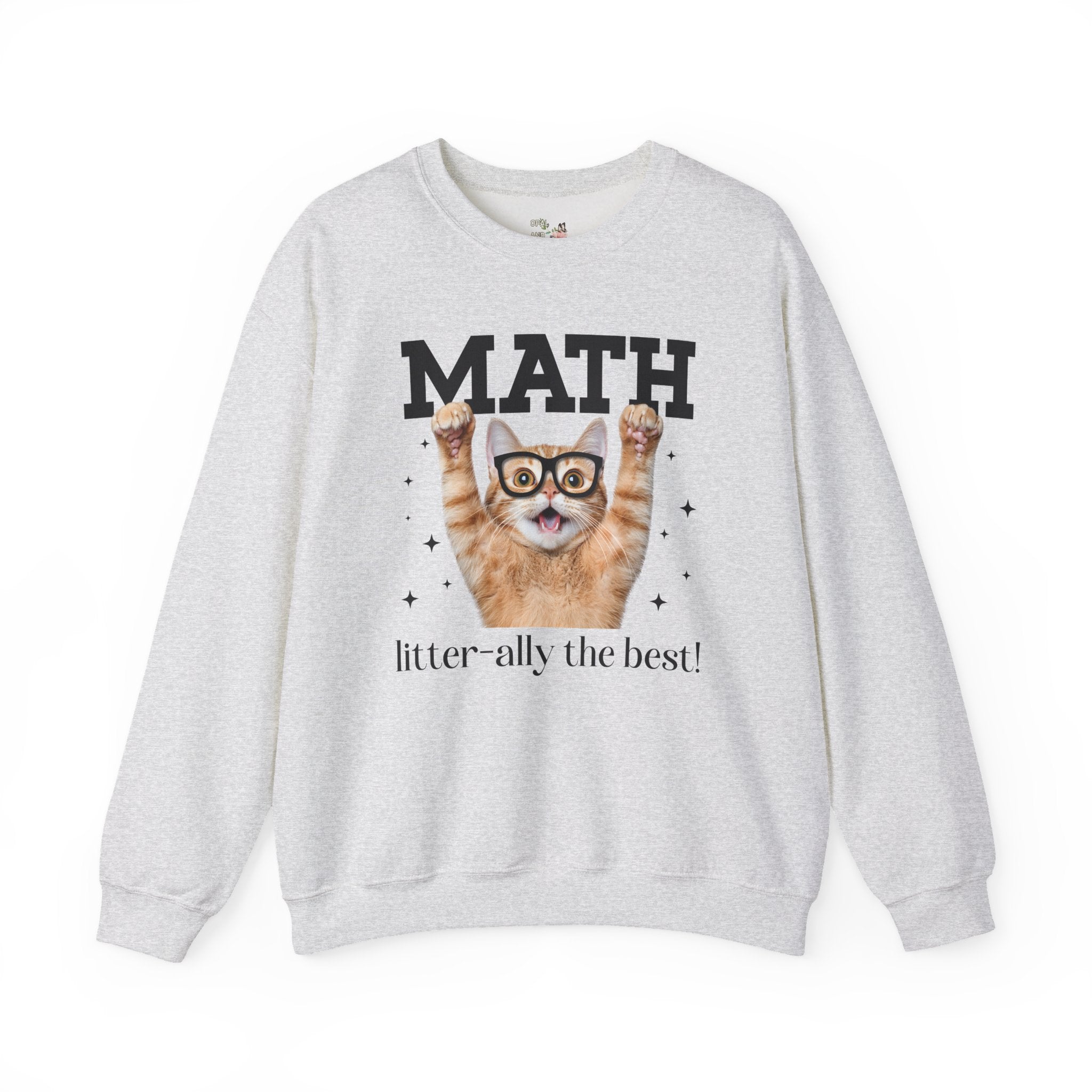 Math Teacher Sweatshirt for Cat Lover, Funny Saying Math Lover Gift, Math Major, Women in STEM, Cat Mom or Cat Dad Shirt, Middle School Math - Opal and June