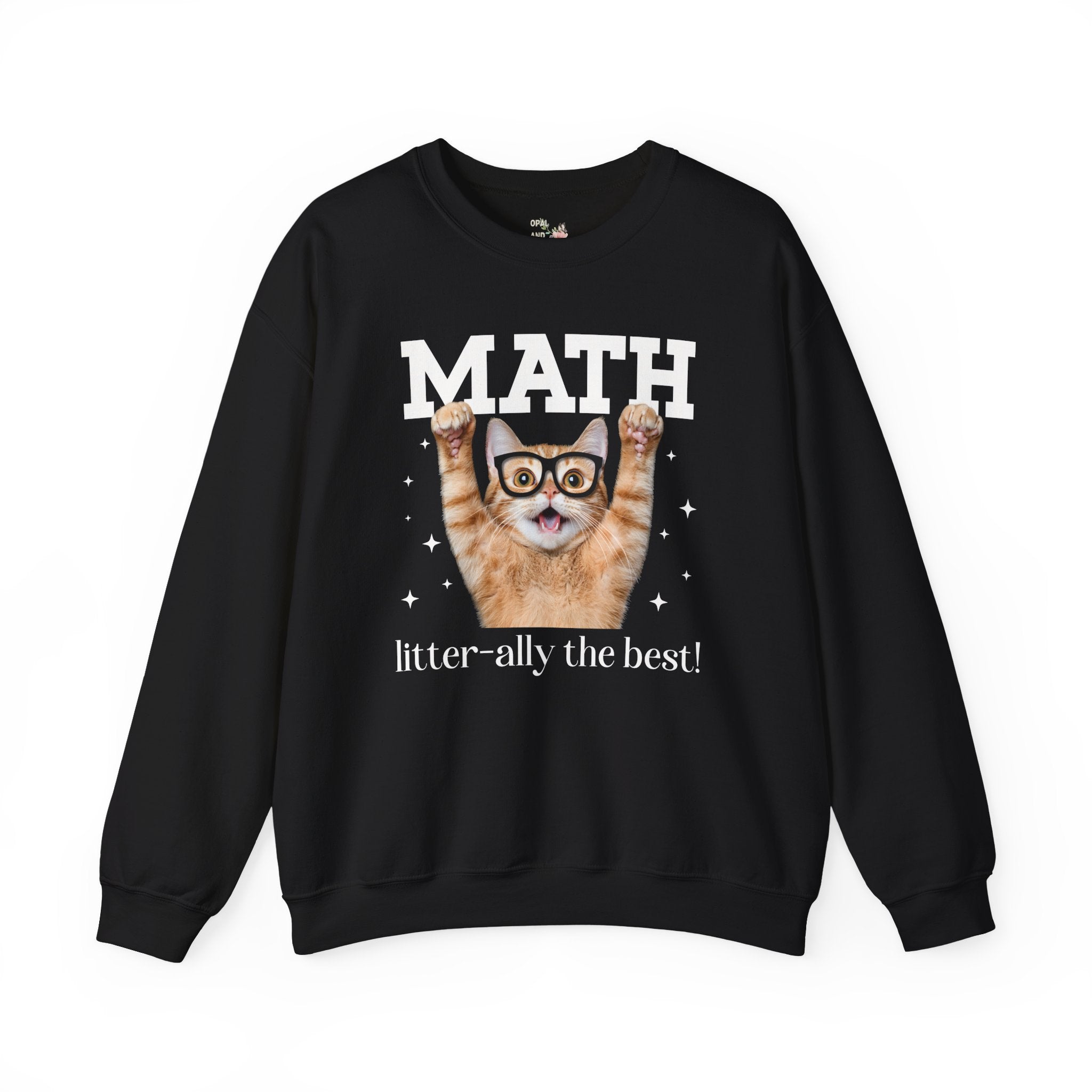 Math Teacher Sweatshirt for Cat Lover, Funny Saying Math Lover Gift, Math Major, Women in STEM, Cat Mom or Cat Dad Shirt, Middle School Math - Opal and June