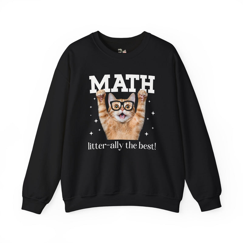 Math Teacher Sweatshirt for Cat Lover, Funny Saying Math Lover Gift, Math Major, Women in STEM, Cat Mom or Cat Dad Shirt, Middle School Math - Opal and June