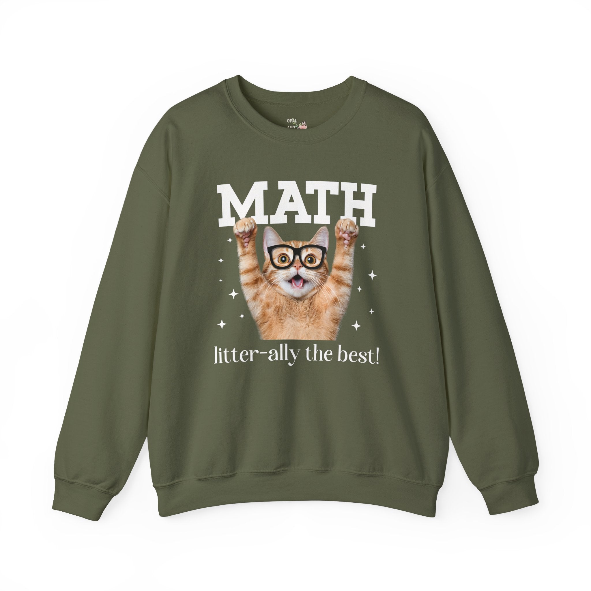 Math Teacher Sweatshirt for Cat Lover, Funny Saying Math Lover Gift, Math Major, Women in STEM, Cat Mom or Cat Dad Shirt, Middle School Math - Opal and June