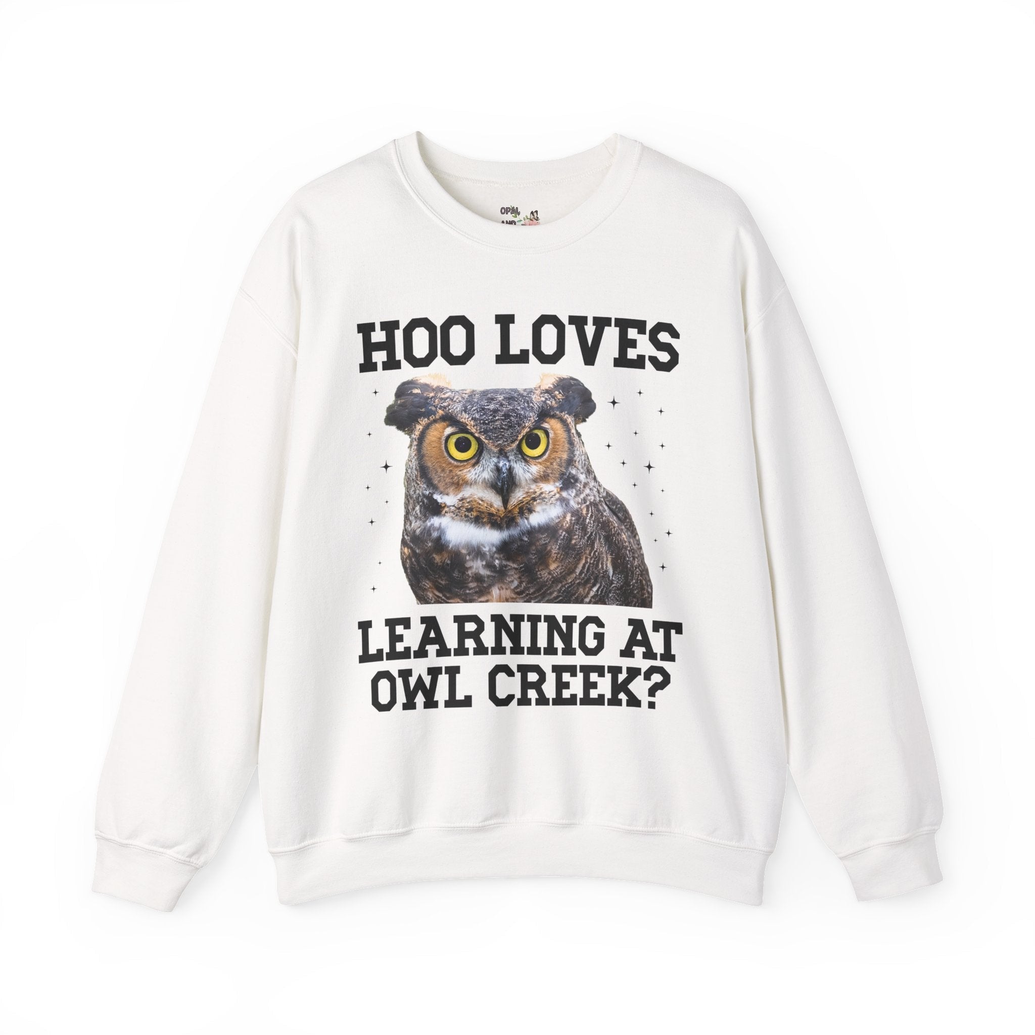 Owl Creek Elementary School Sweatshirt: Hoo Loves Learning at Owl Creek? - Opal and June