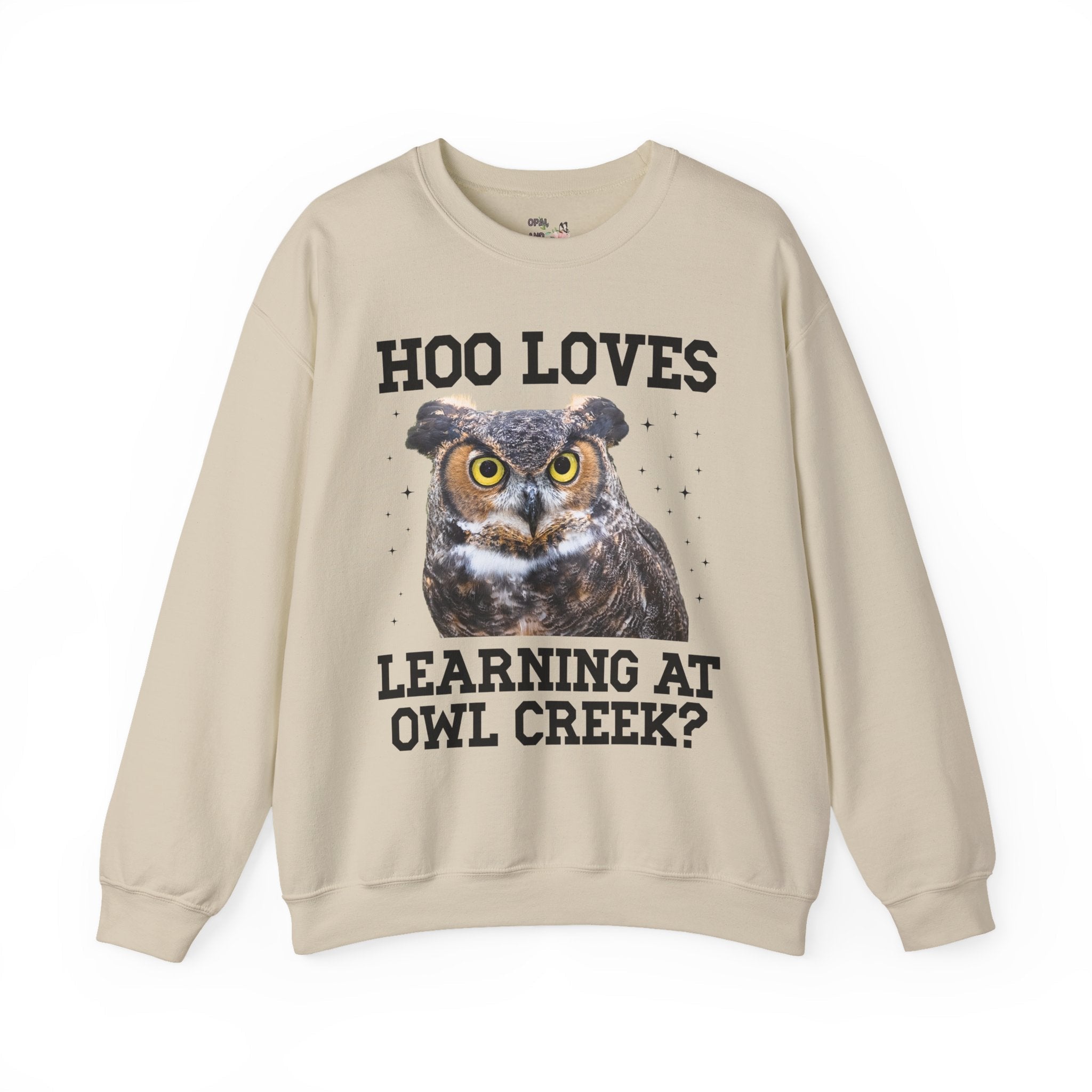 Owl Creek Elementary School Sweatshirt: Hoo Loves Learning at Owl Creek? - Opal and June