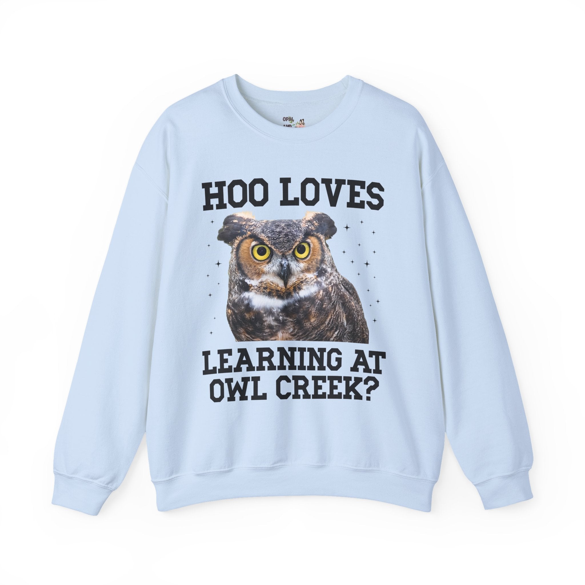 Owl Creek Elementary School Sweatshirt: Hoo Loves Learning at Owl Creek? - Opal and June